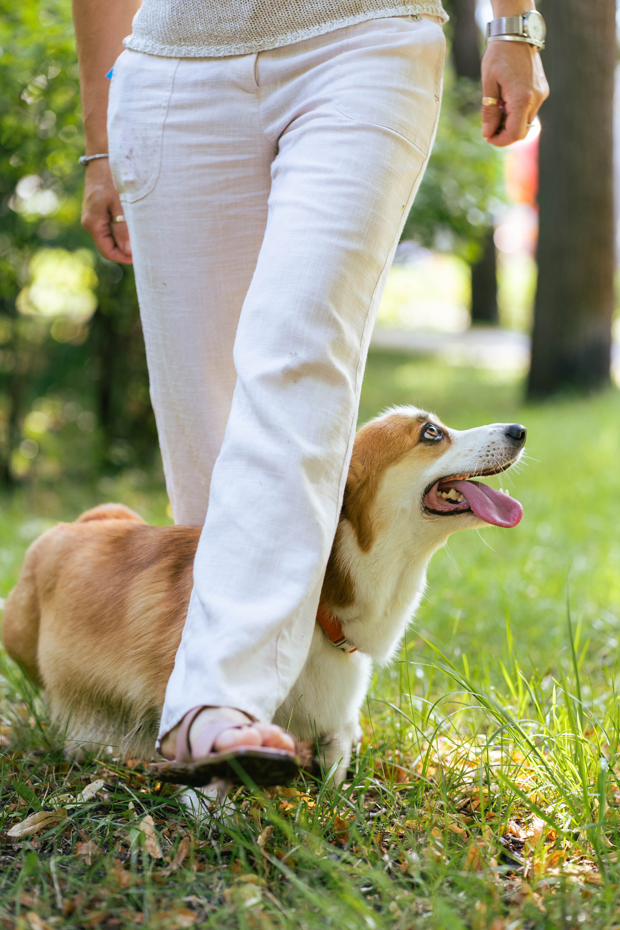 Ольга и коржики. Свадебный фотограф в Москве Анна Полушина
