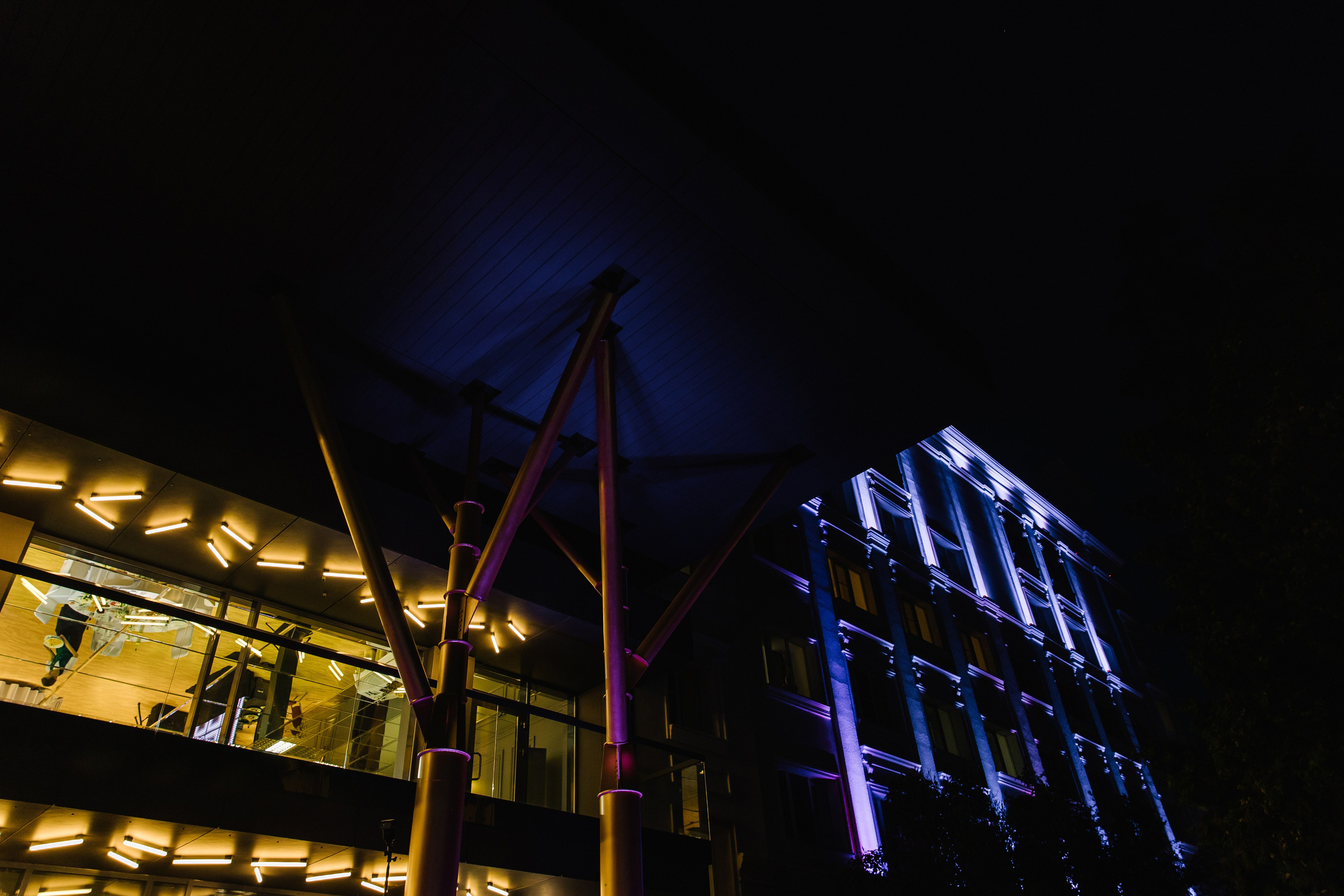 Сезон пионов. Фотограф Елена Краснопевцева