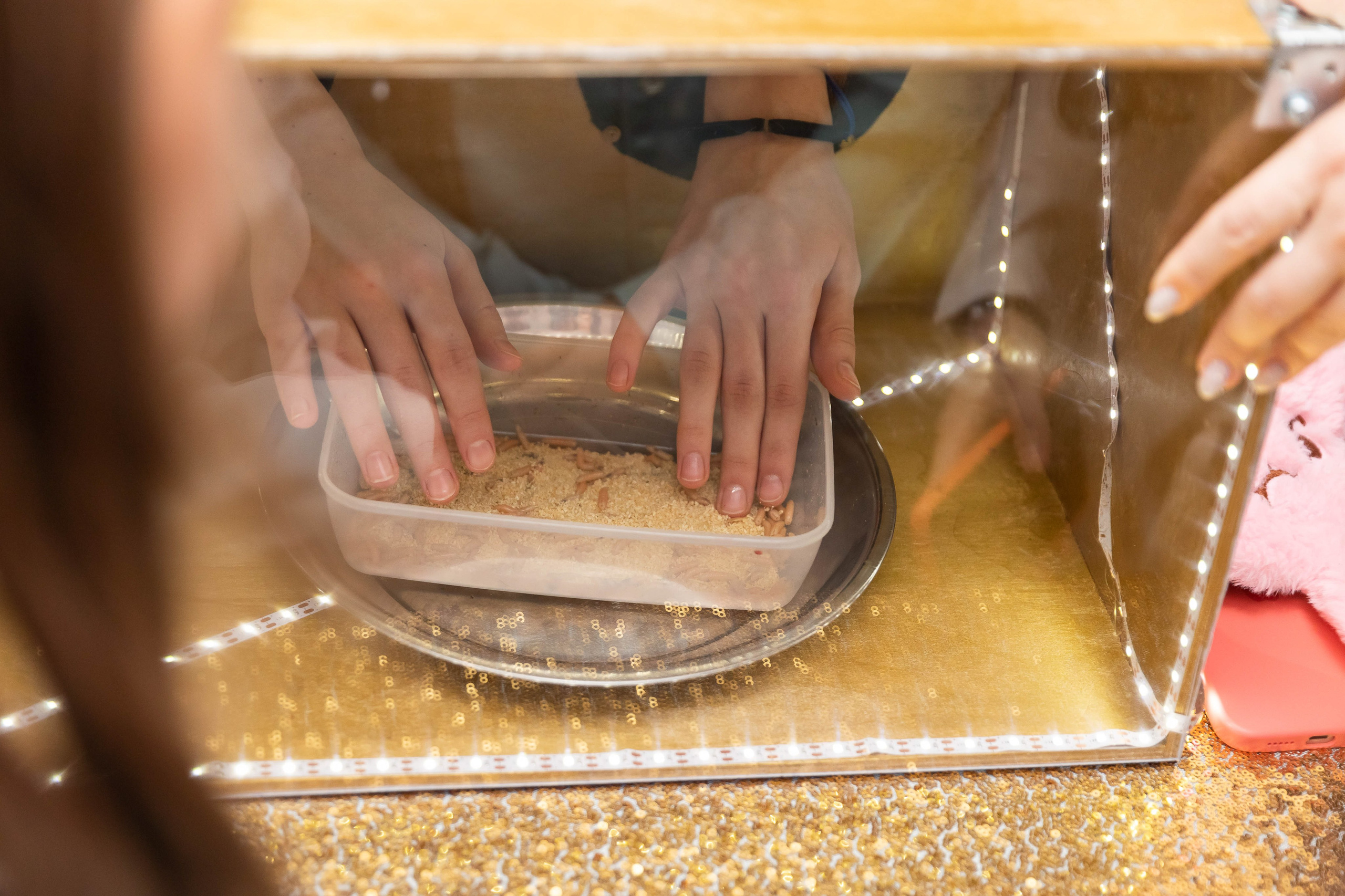 День Рождения Ники Амелии. NesterovaMaria.ru