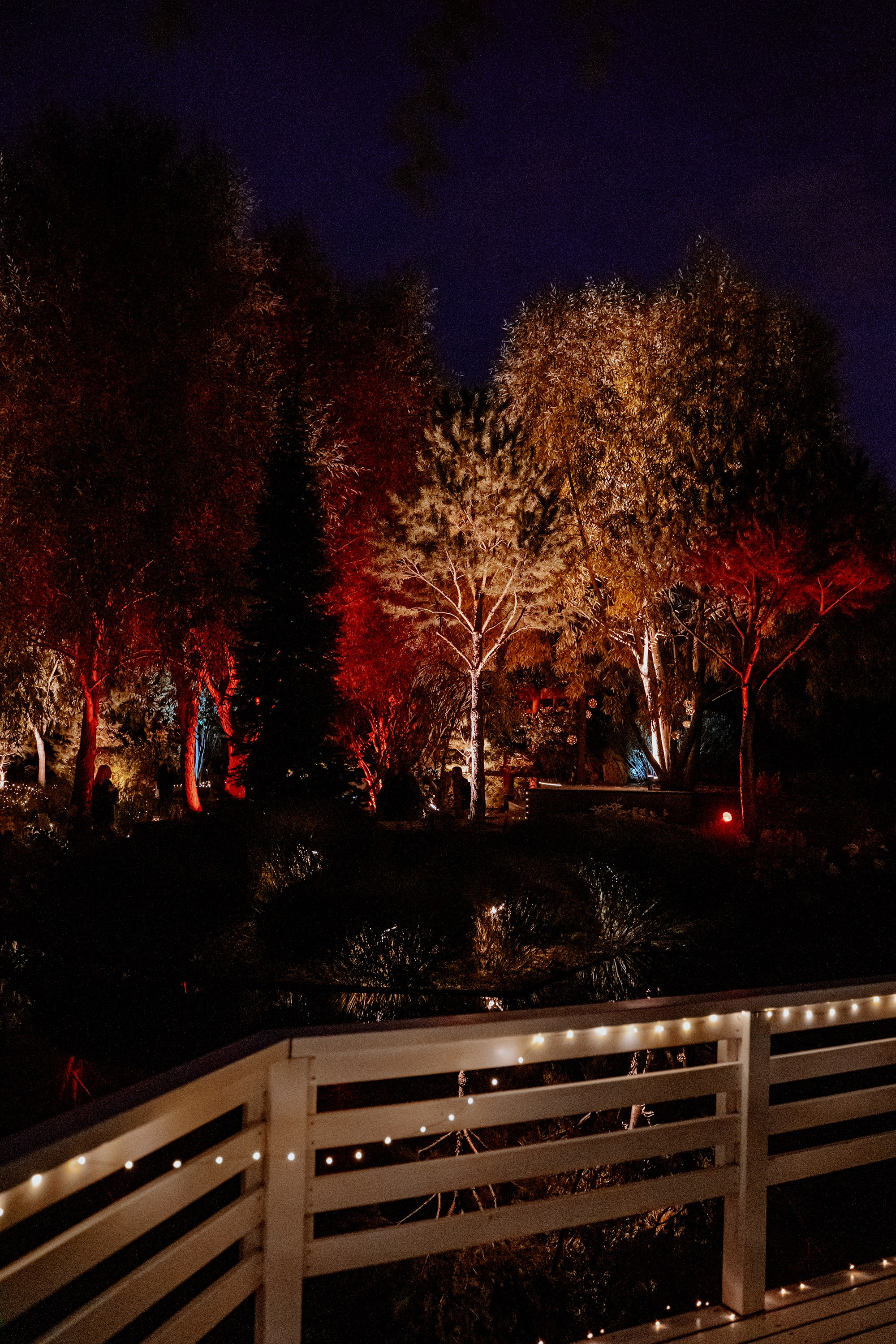 Детская сказочная съёмка в волшебной локации | Портфолио. Яна Жуковская, фотограф Тюмень