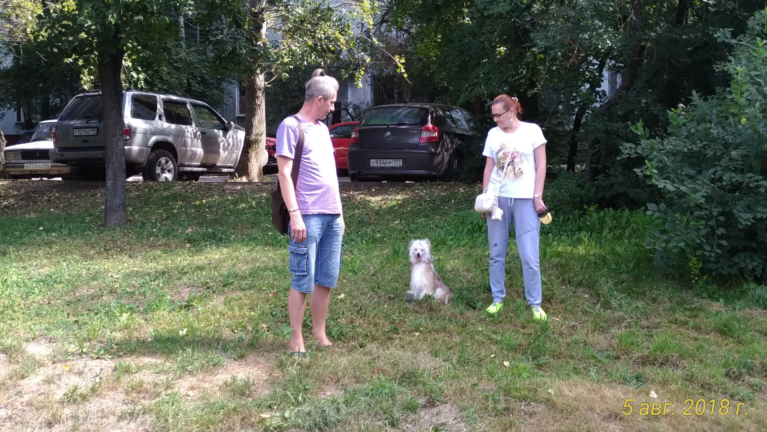 Barthelamew is leaving. Poale Ell Chinese Crested Dog Kennel: Buy a puppy from the kennel