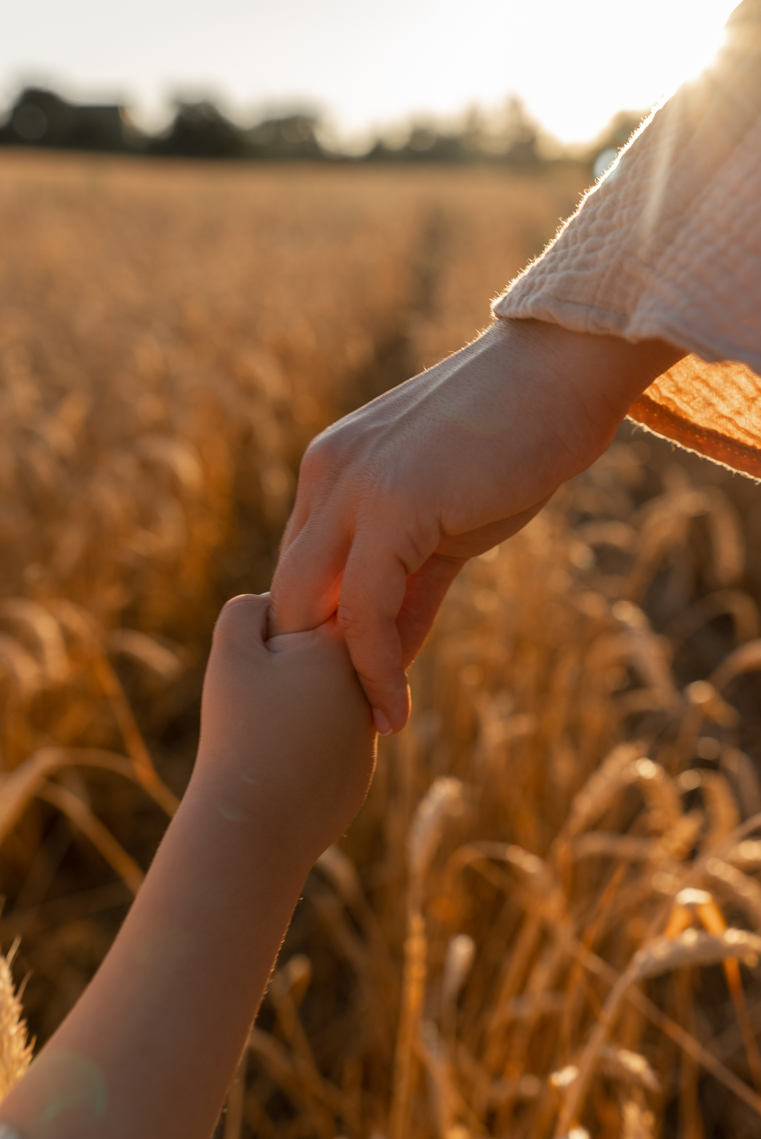 Семейная фотосессия в поле. Семейный фотограф и видеограф Алёна Ким