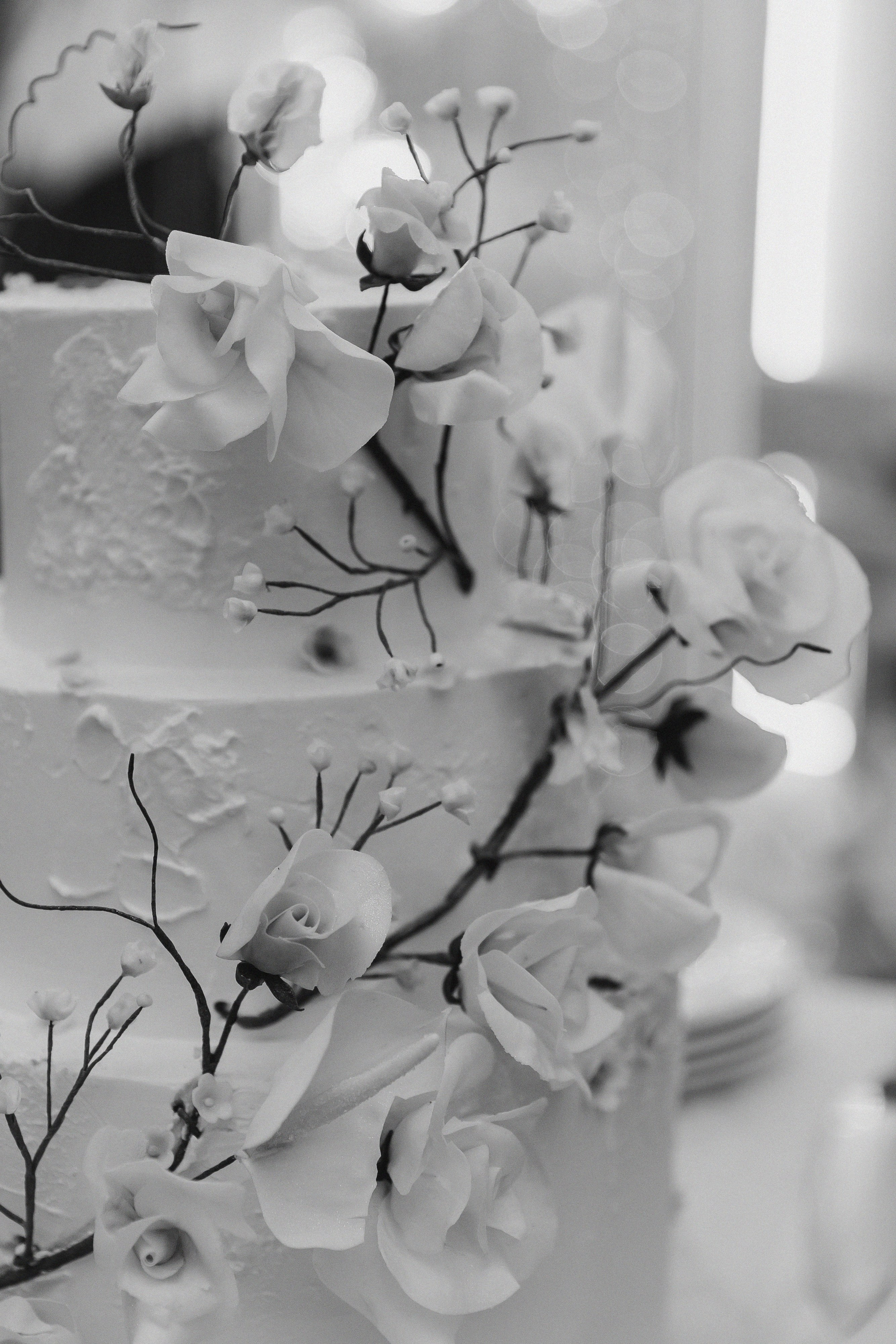 Красивая дата. Фотограф Елена Краснопевцева