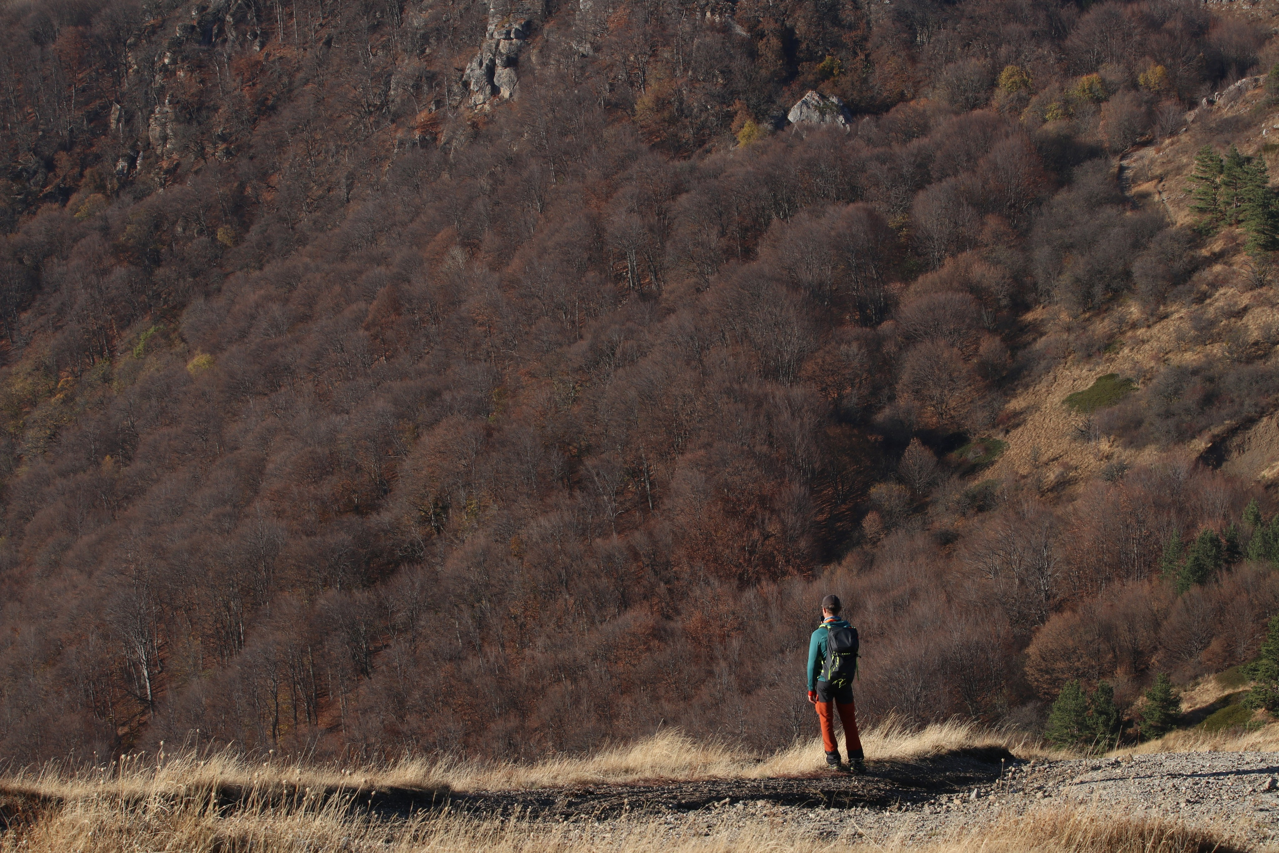 Крым. ЮБК (Гурзуф, Судак и их окрестности). Ноябрь 2023. Путешественник-фотограф из Санкт-Петербурга Татьяна Свистулина