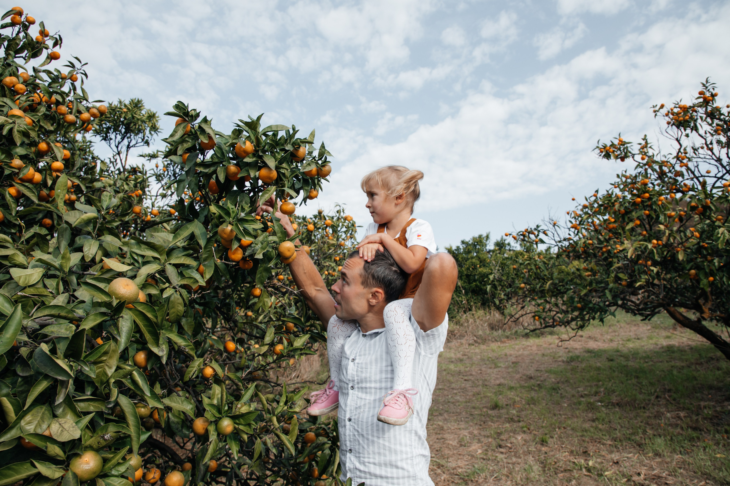 Мандариновое настроение. Фотограф Сочи, Екатеринбург, Евгения Ефимова