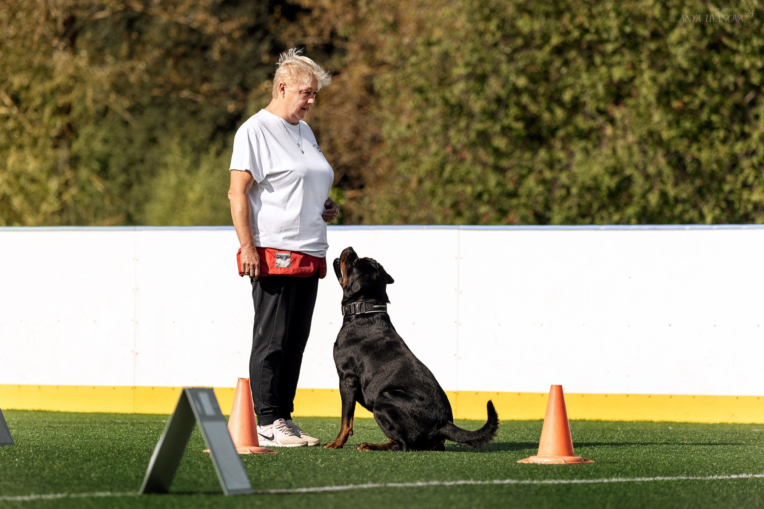 Ралли обидиенс. Фотограф анималист Аня Ливанова | Рыбинск