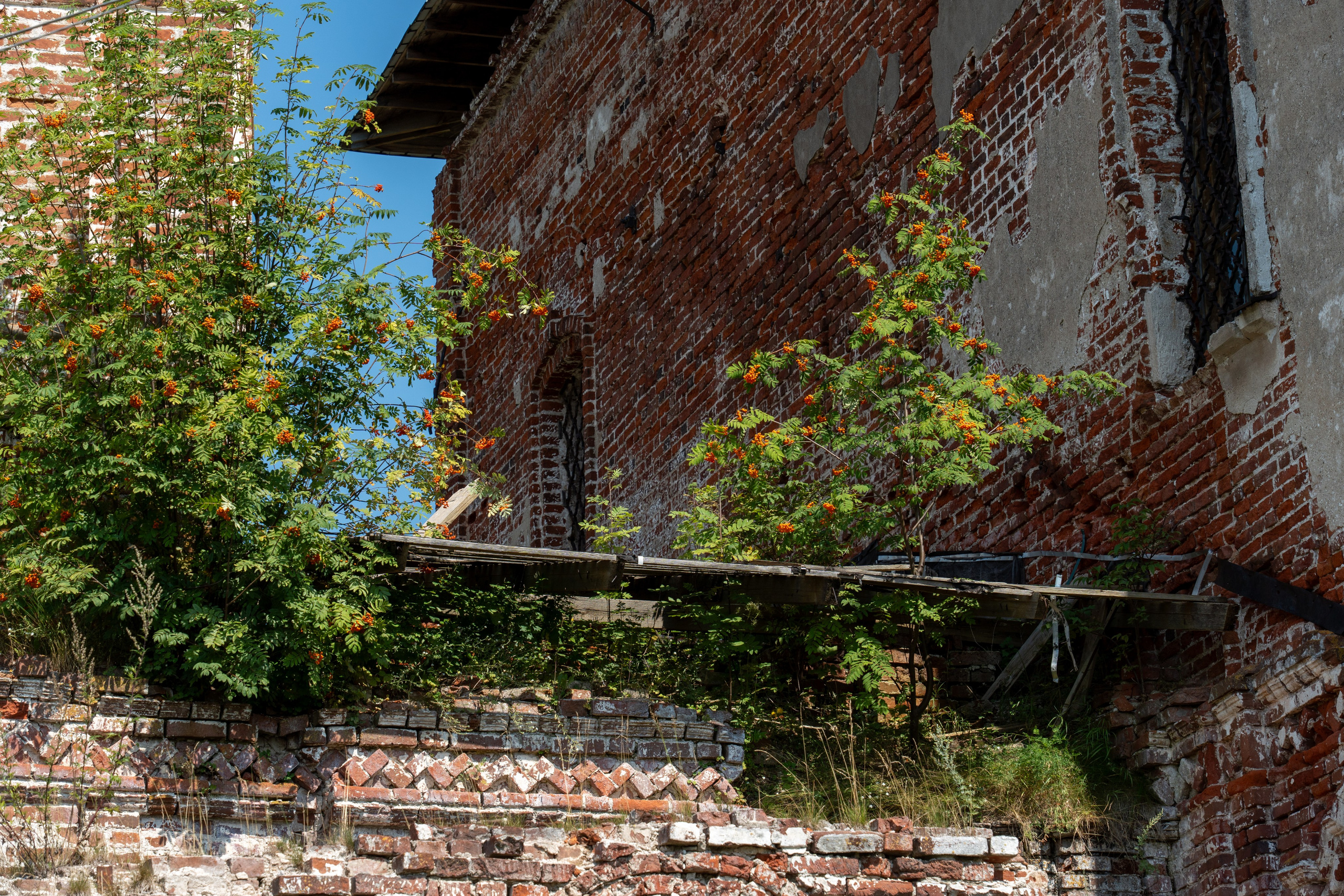 20250729-30 Ростов. Дмитрий Ремизов. Фотография, как хобби