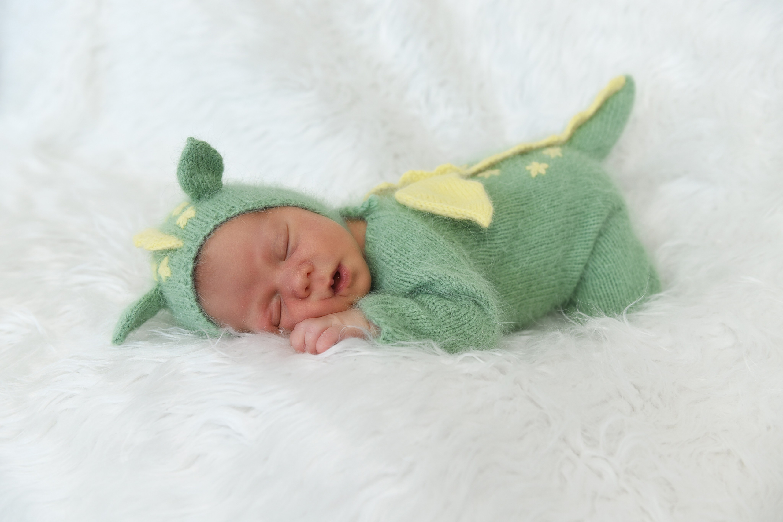 Артем-динозаврик. Семейный, детский и школьный фотограф в Димитровграде Наумова Екатерина