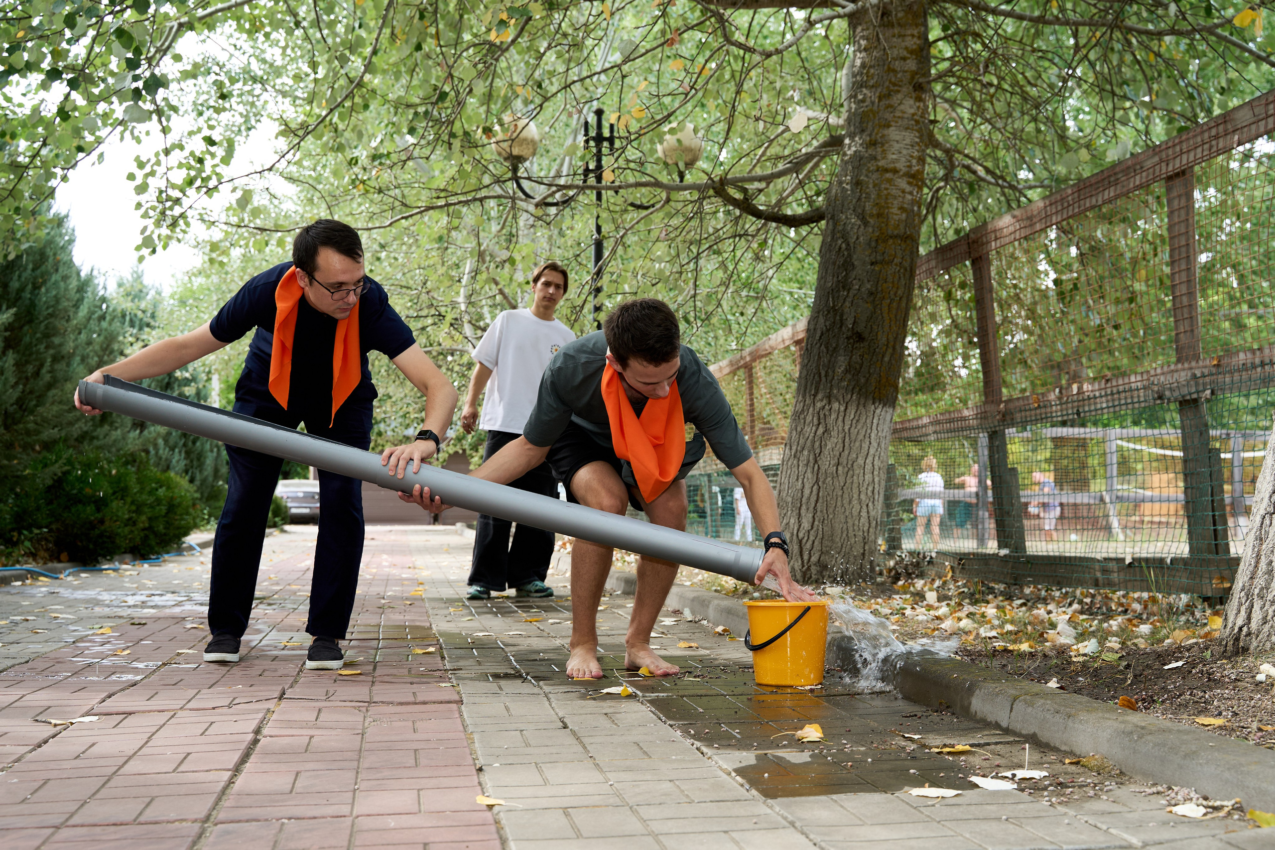 Квиз-игра. Тимбилдинг. Репортаж