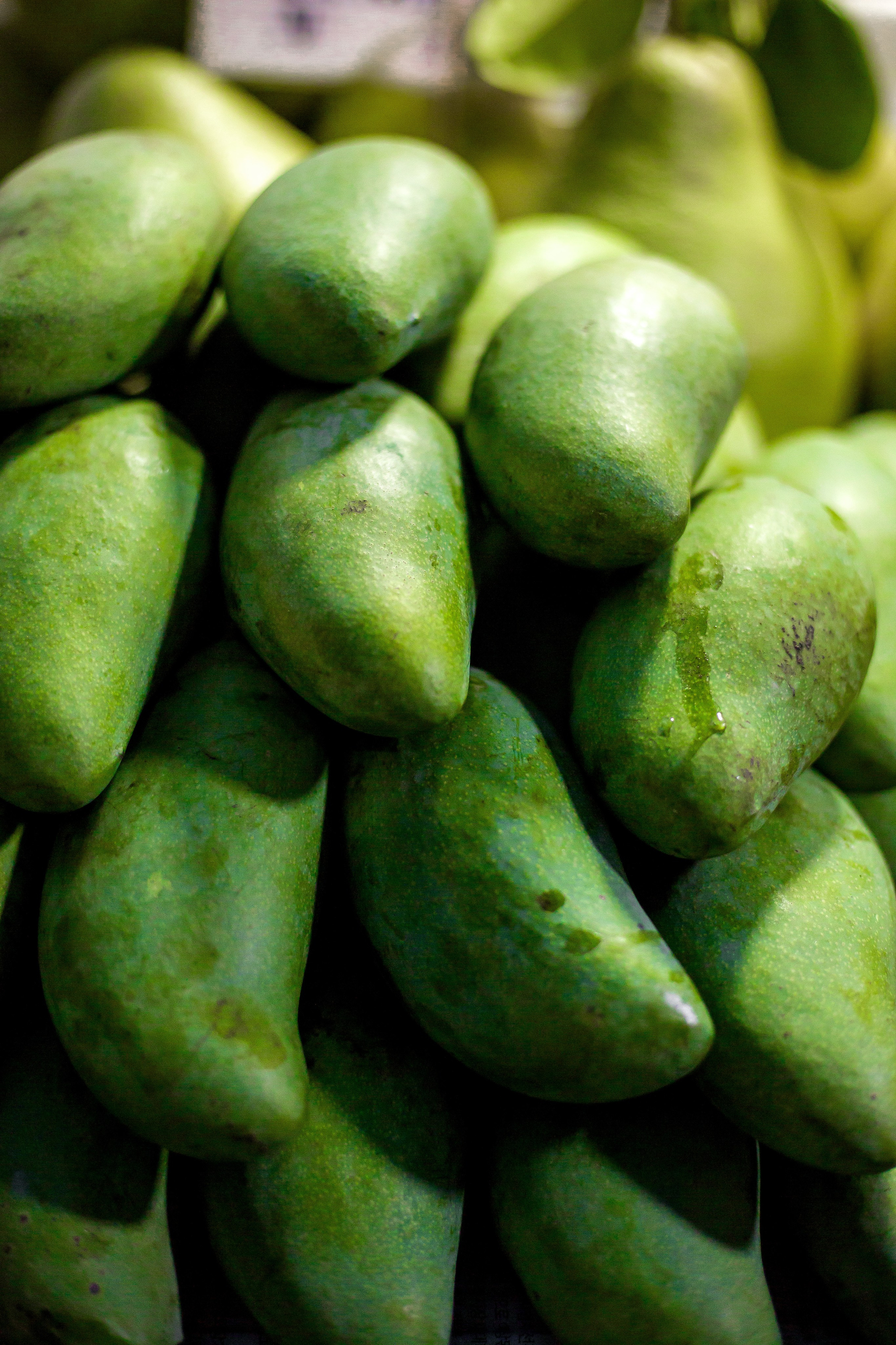 Thailand 2023, Samui. Art Photographer