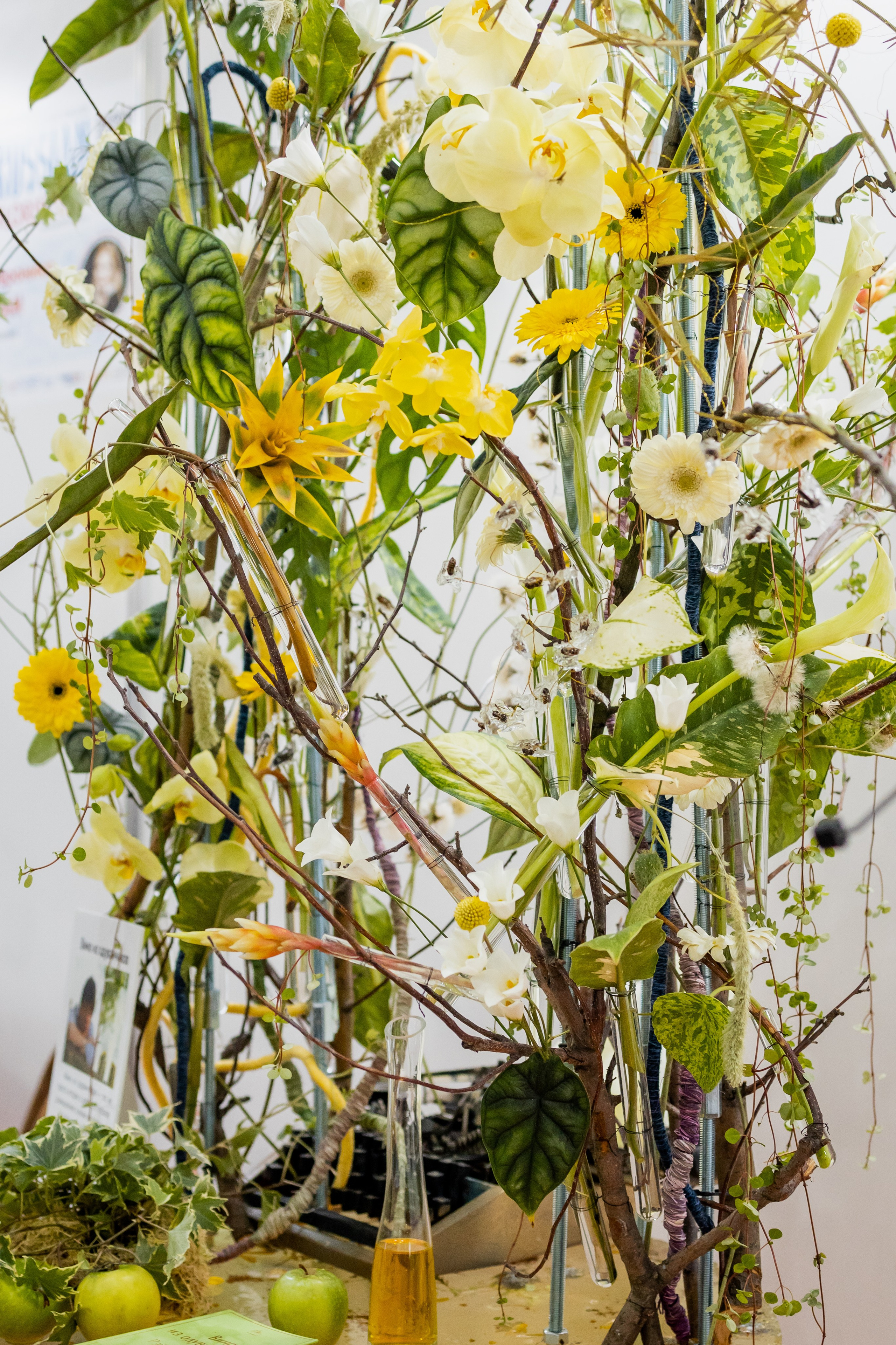 Цветы-Экспо 2025. Фотосессии и репортаж — Фотограф в Москве — Рина Серёгина