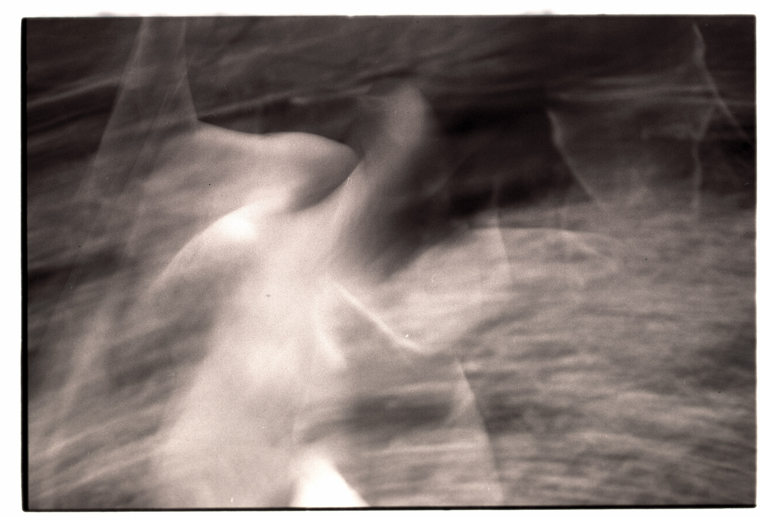 Лесная серия. Kirill Gribov