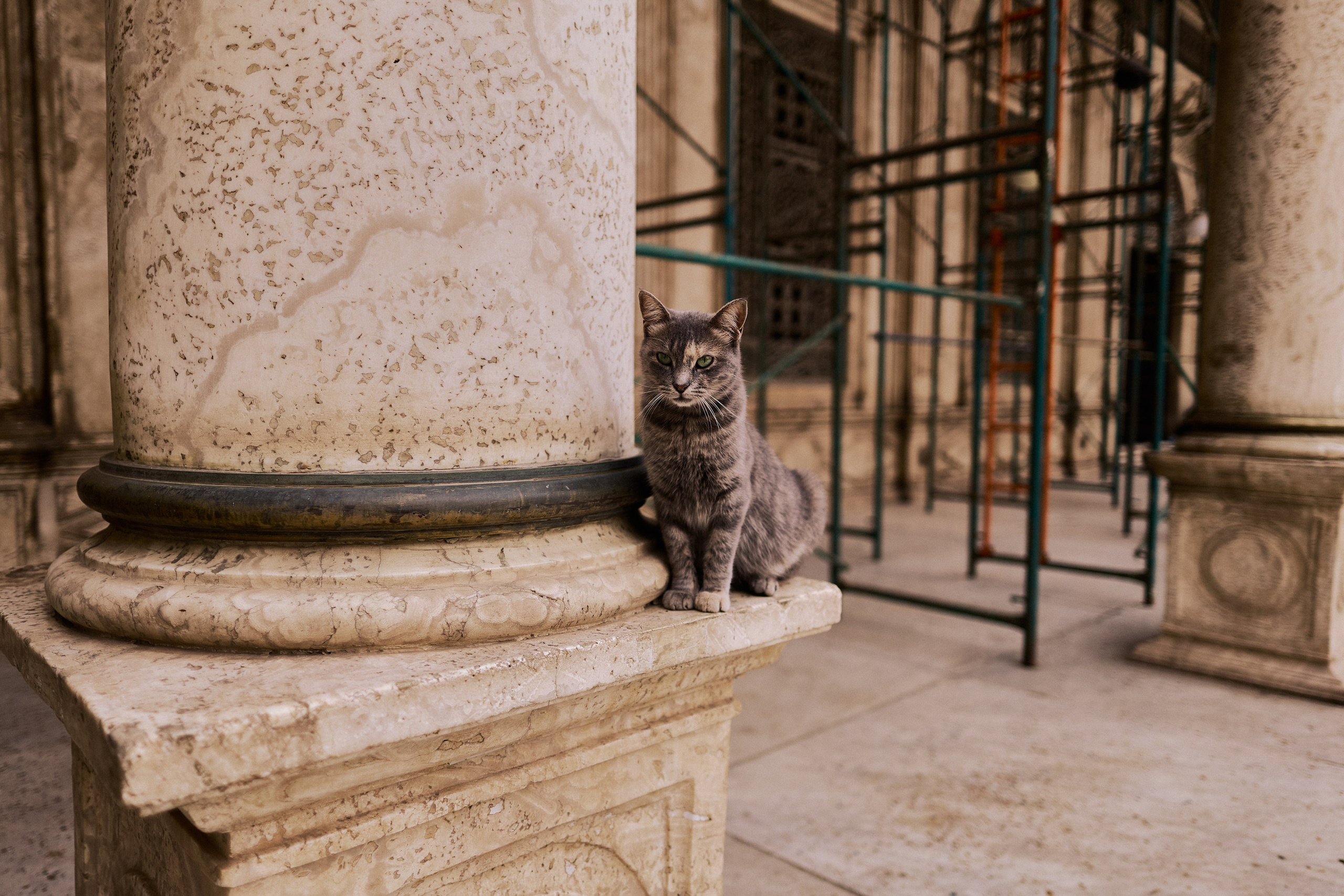 Другое 4. Jorgis — фотограф в Хургаде / обучение фотографии