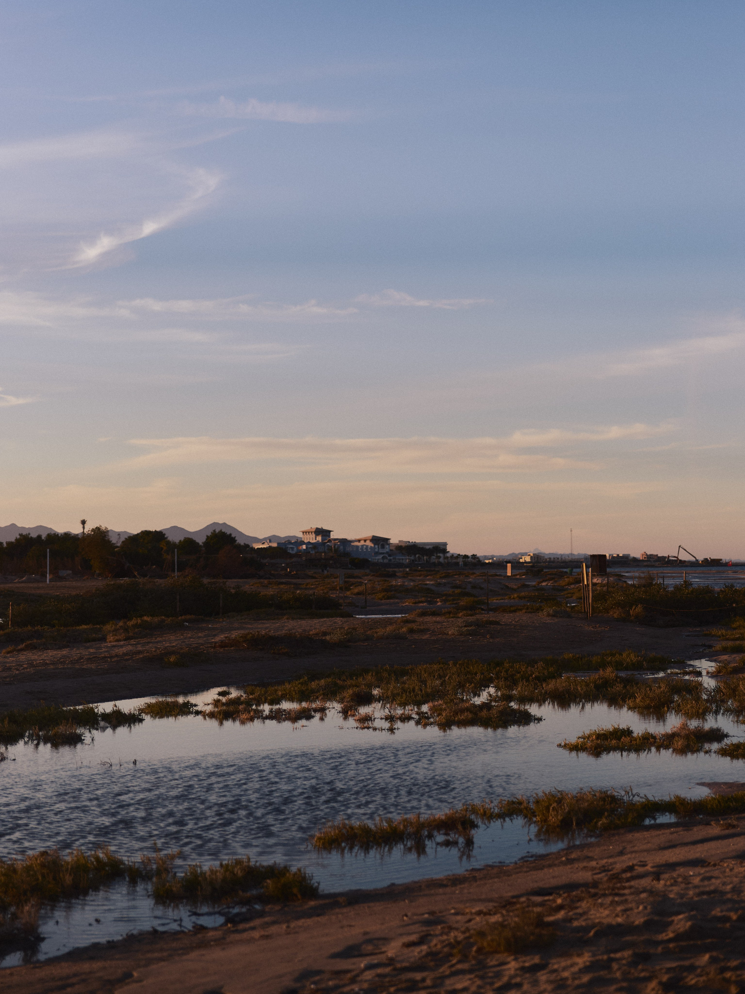 Природа сквозь. Jorgis Talè — photographer, kind person, teacher of arts and other mag