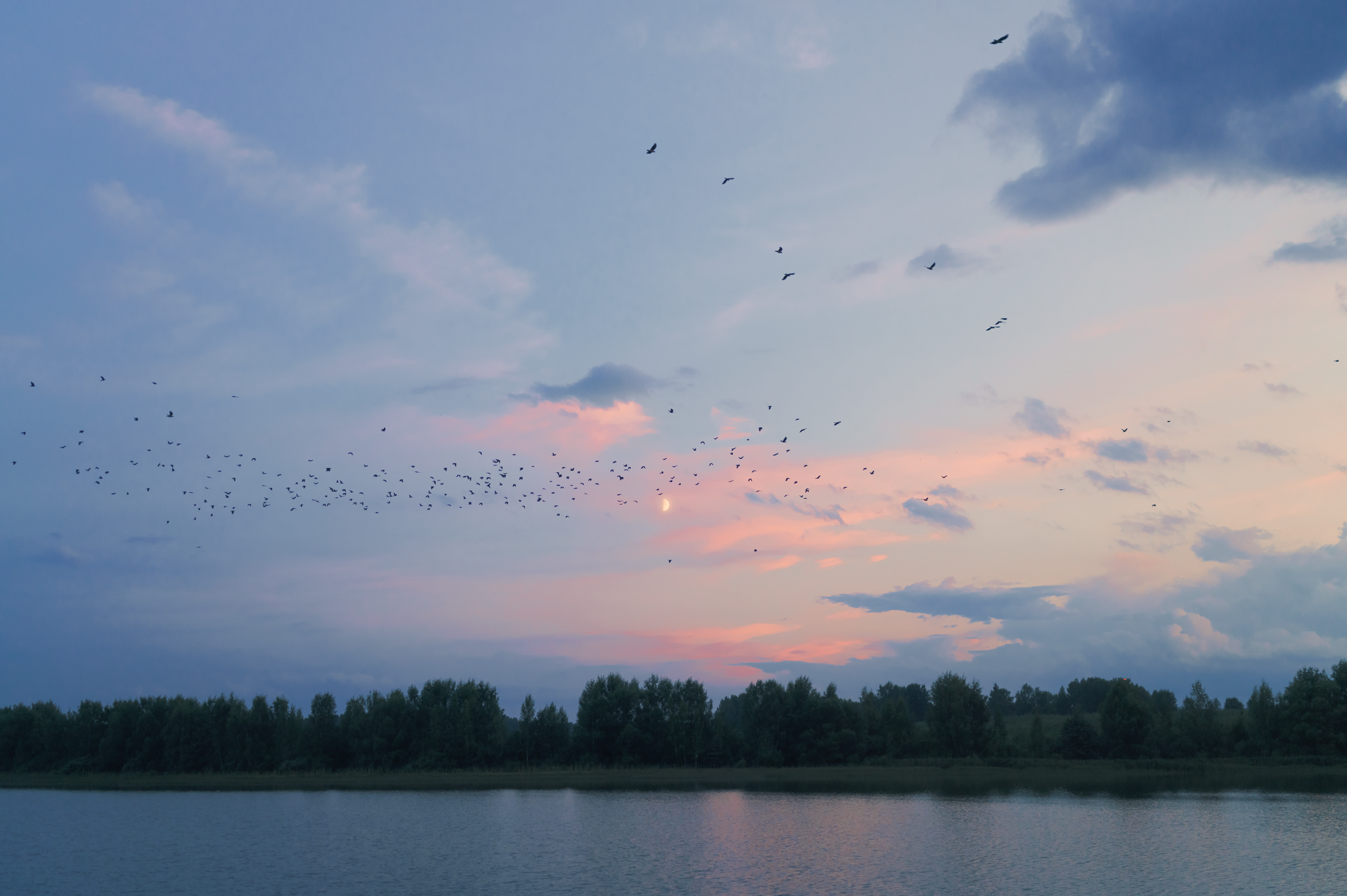 Невидимый спектр. Komonev