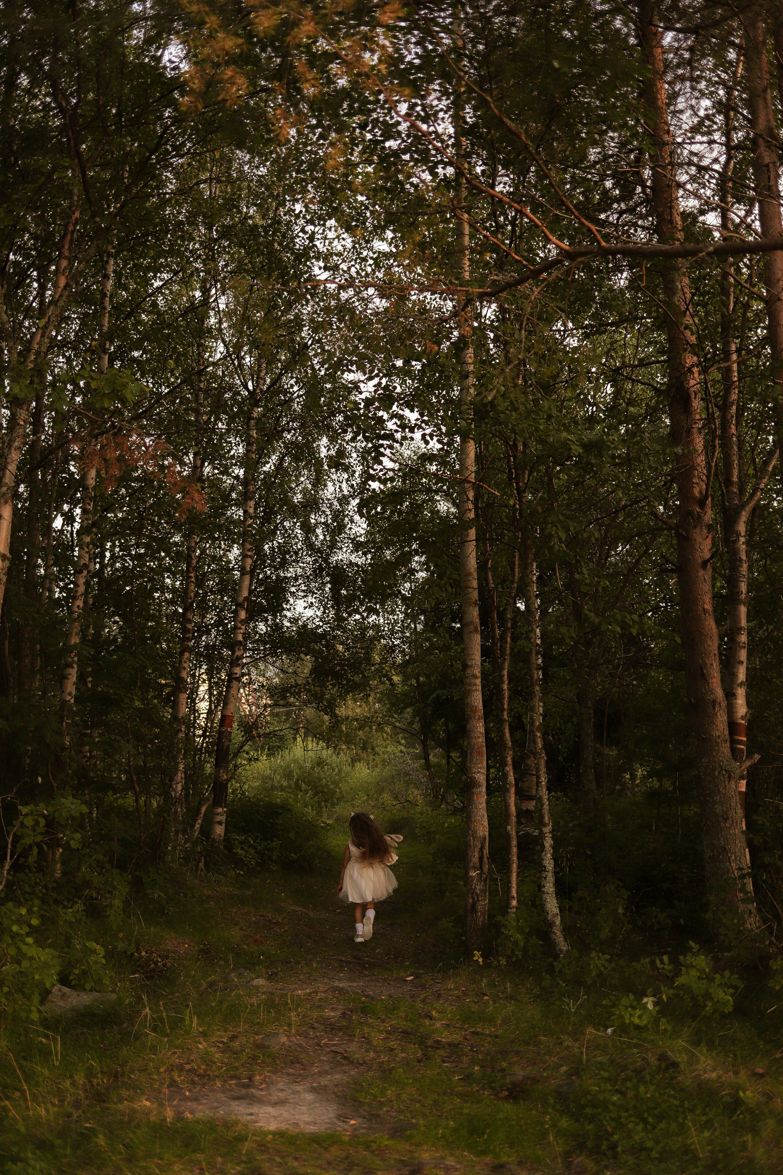 Семья Пьянковых