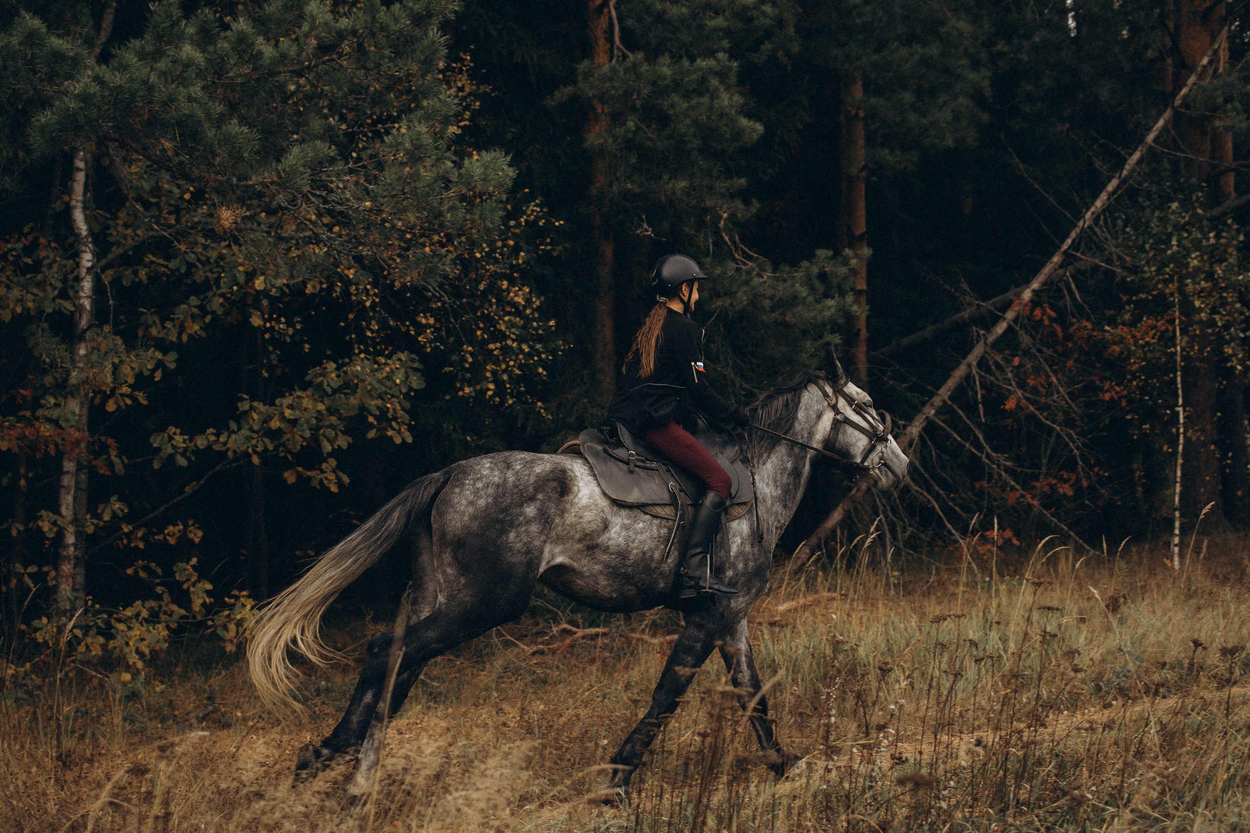 Лошади. Ваш фотограф в Москве и области Юлия