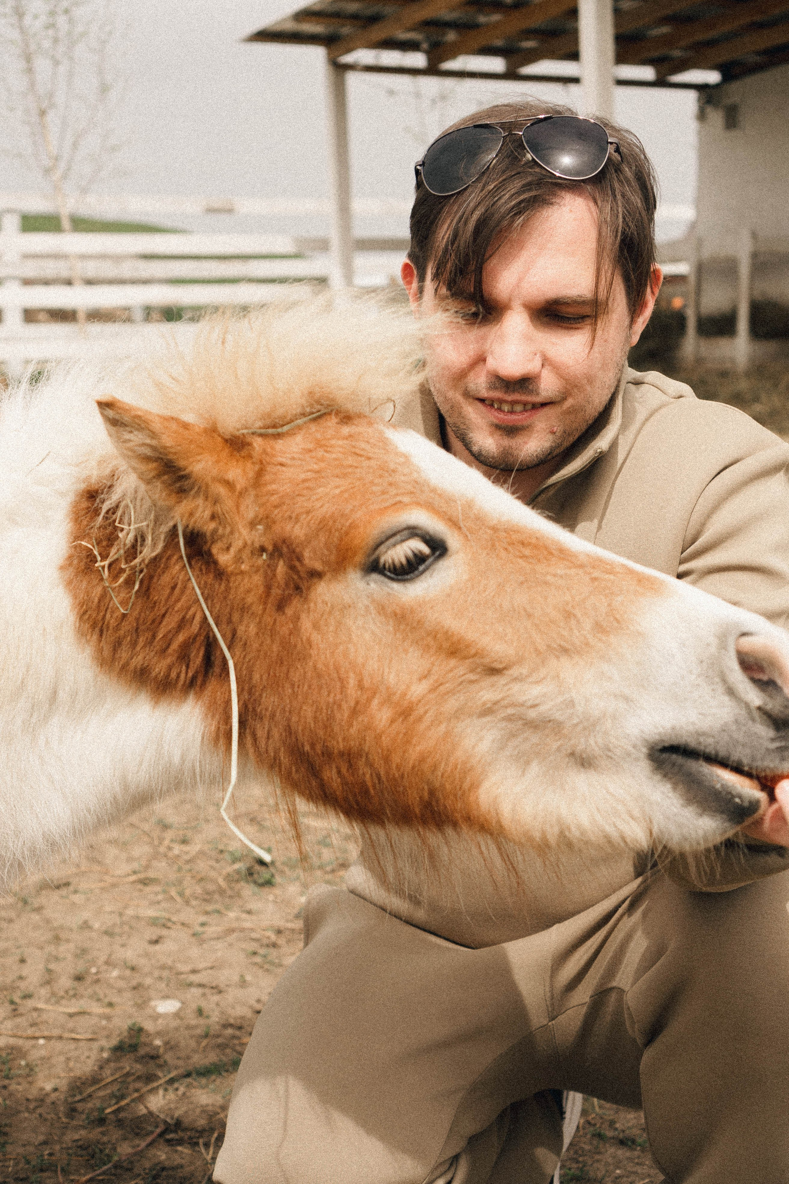 Ферма Альпак. Профессиональный фотограф, Санкт-Петербург — Виктория Богомолова