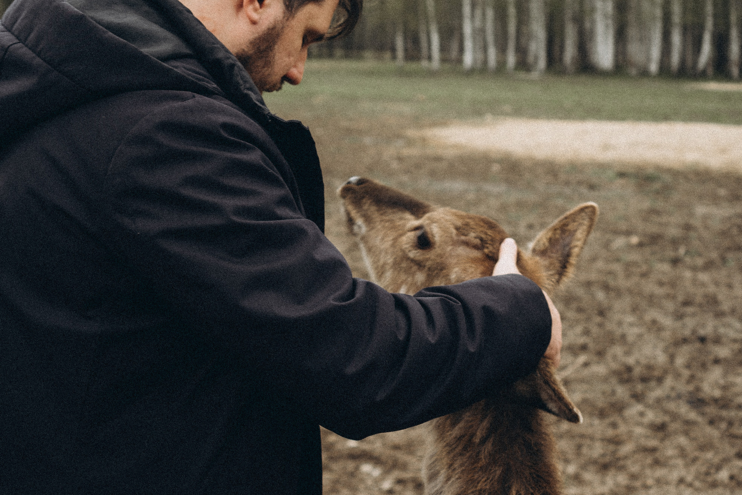 ОЛЕНЬЯ ФЕРМА В ТВЕРИ. Профессиональный фотограф, Санкт-Петербург — Виктория Богомолова