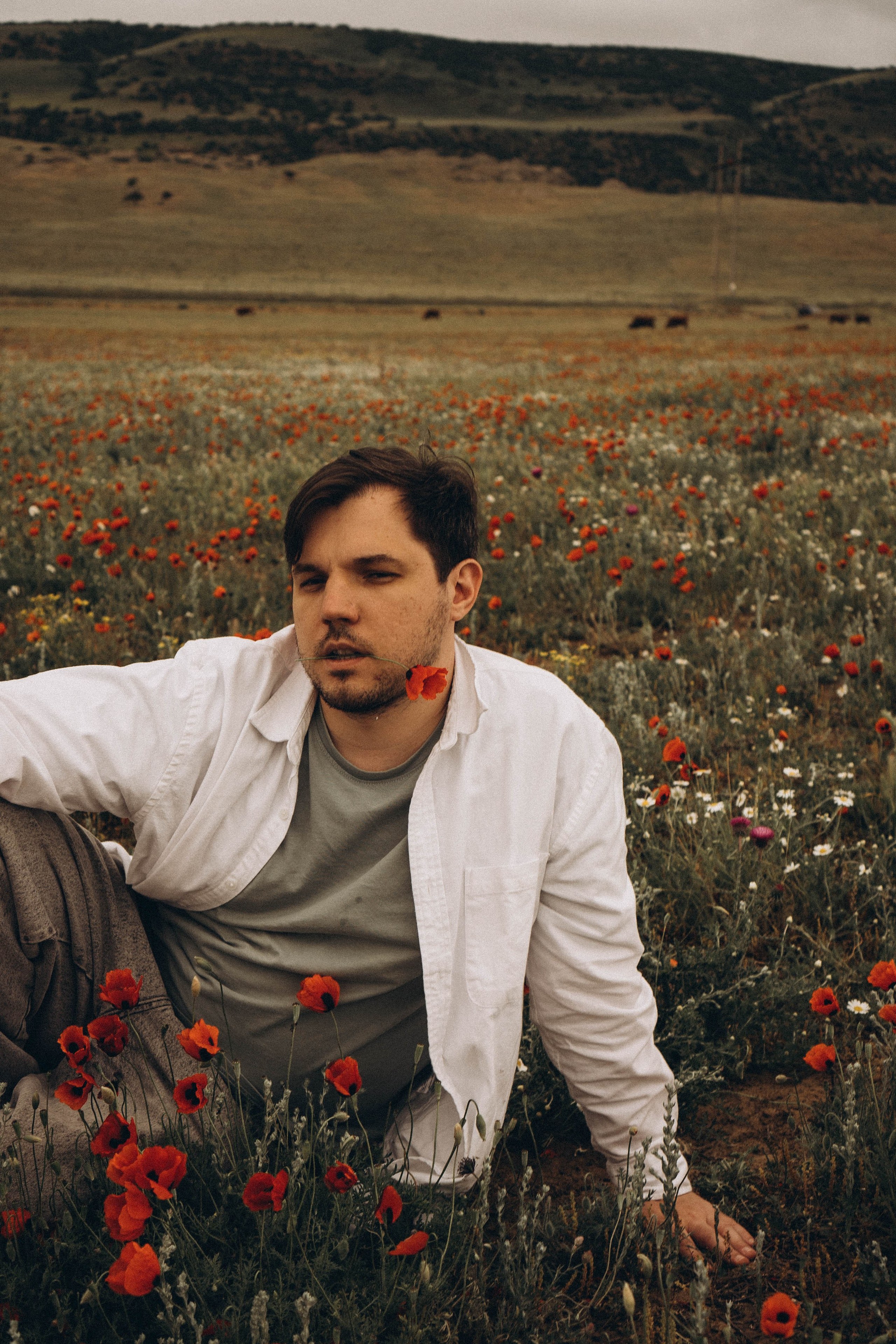 Маки. Профессиональный фотограф, Санкт-Петербург — Виктория Богомолова