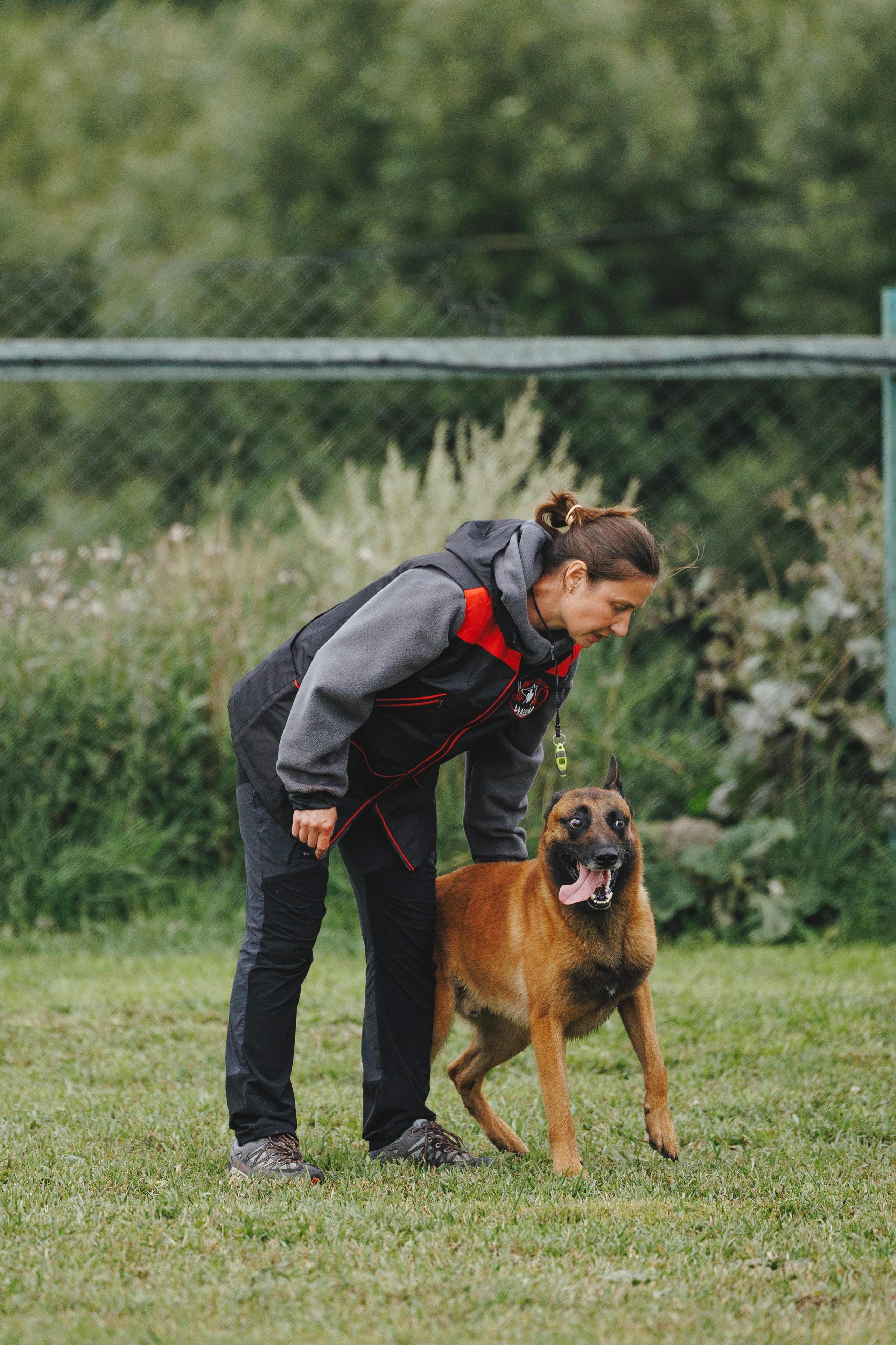 08.08.25-10.08.25 ЧР по мондьорингу г. Вологда. Фотограф-анималист Анна Маринич