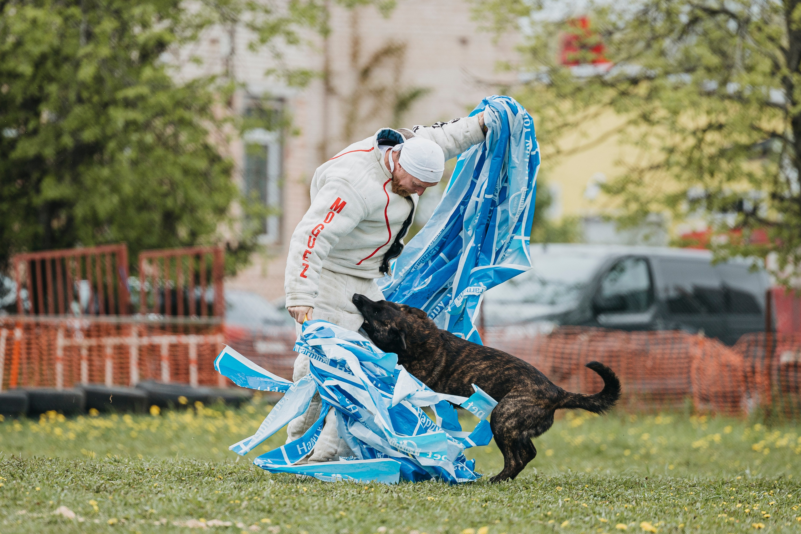 26.05.25 г. Пушкин квалификационные соревнования. Фотограф-анималист Анна Маринич
