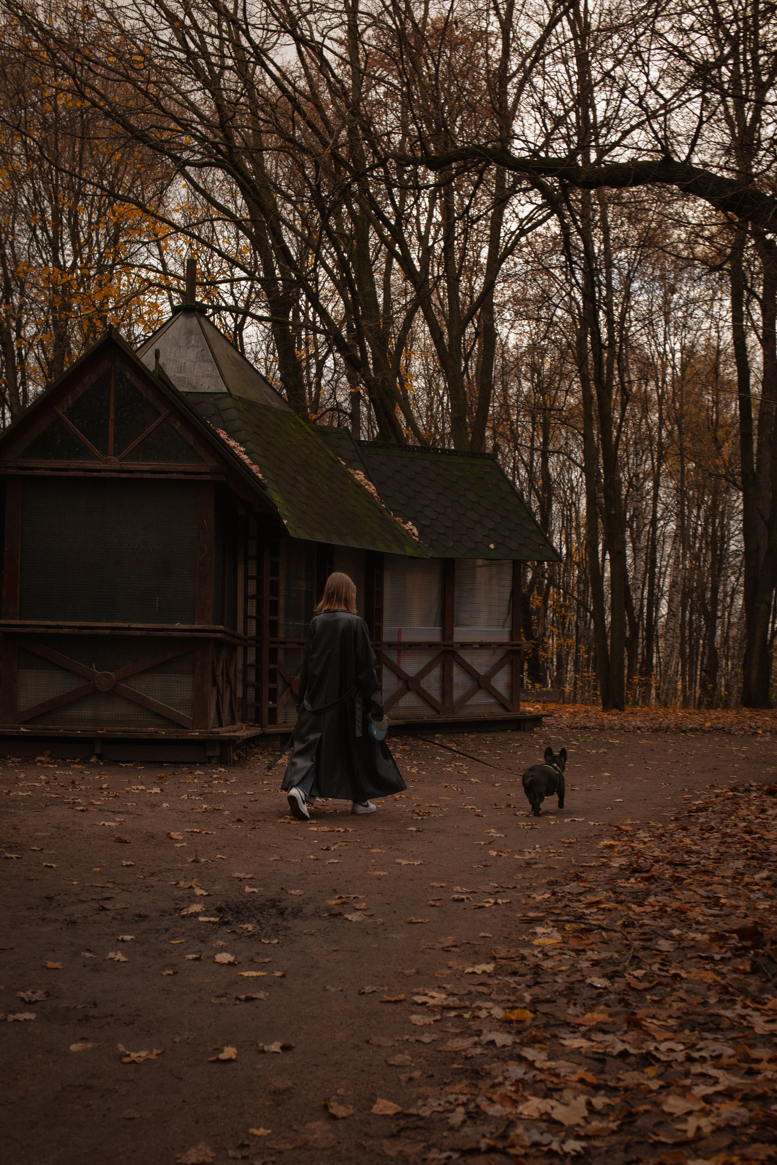 Альбом1. Фотограф Мария Сургаева | Профессиональная фотосъемка в Москве