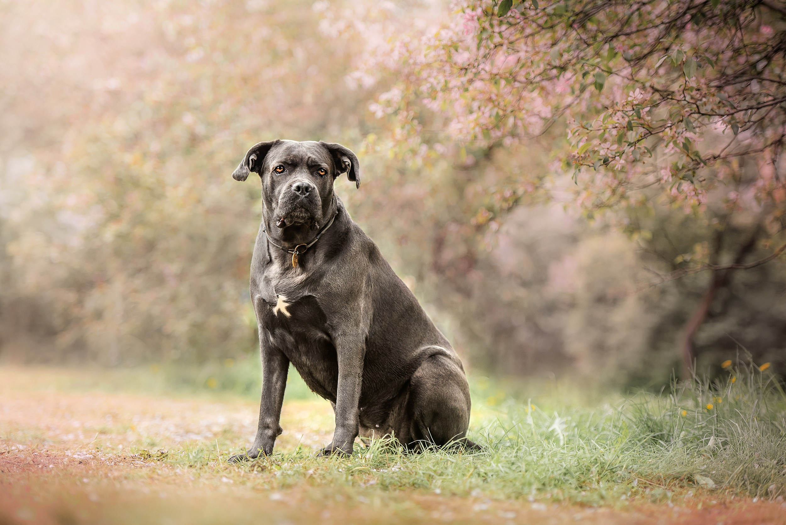 Кристина и Тея. Семейный Фотограф в Москве Ирина Хохлова