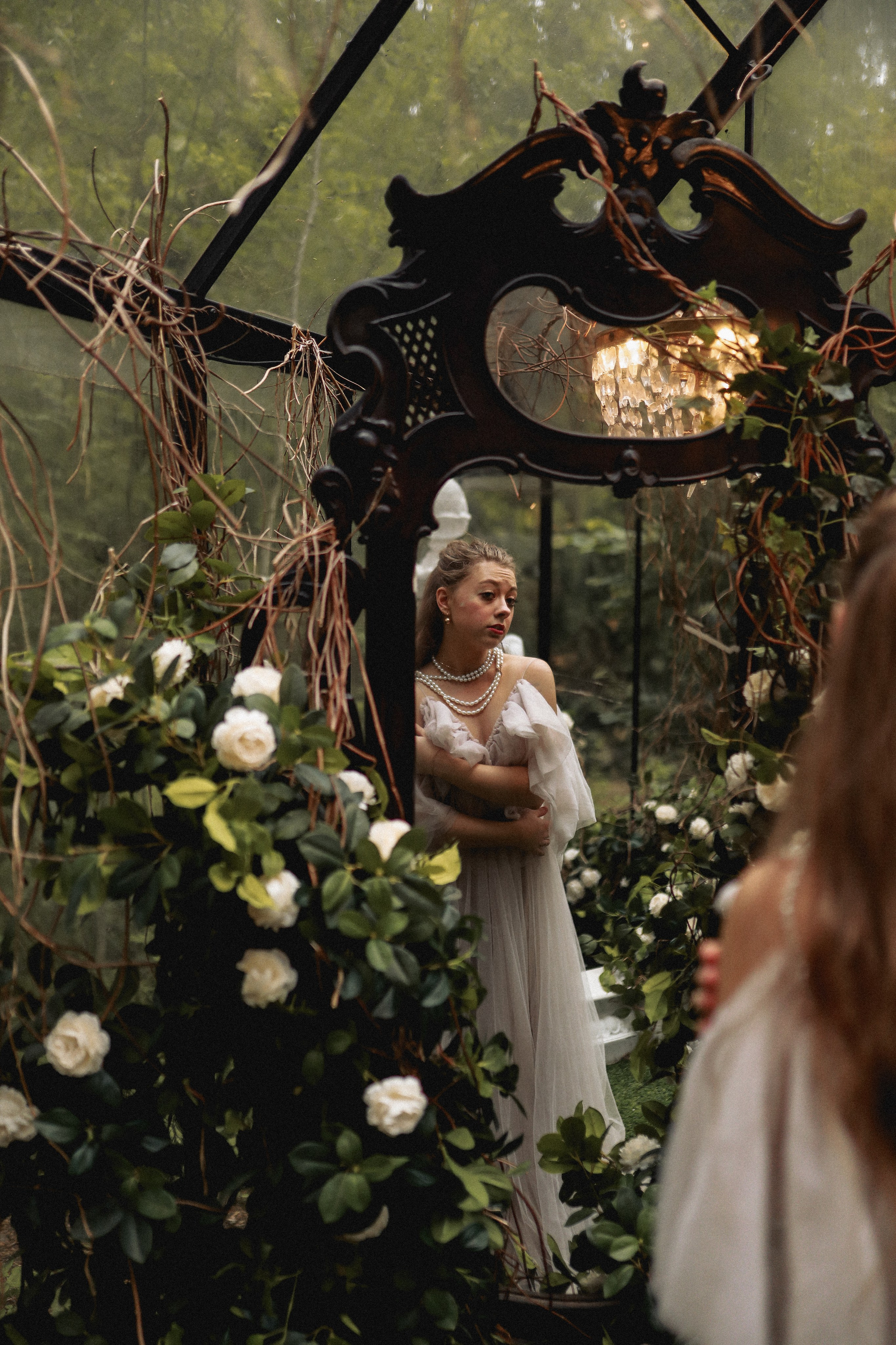 Зачарованный лес