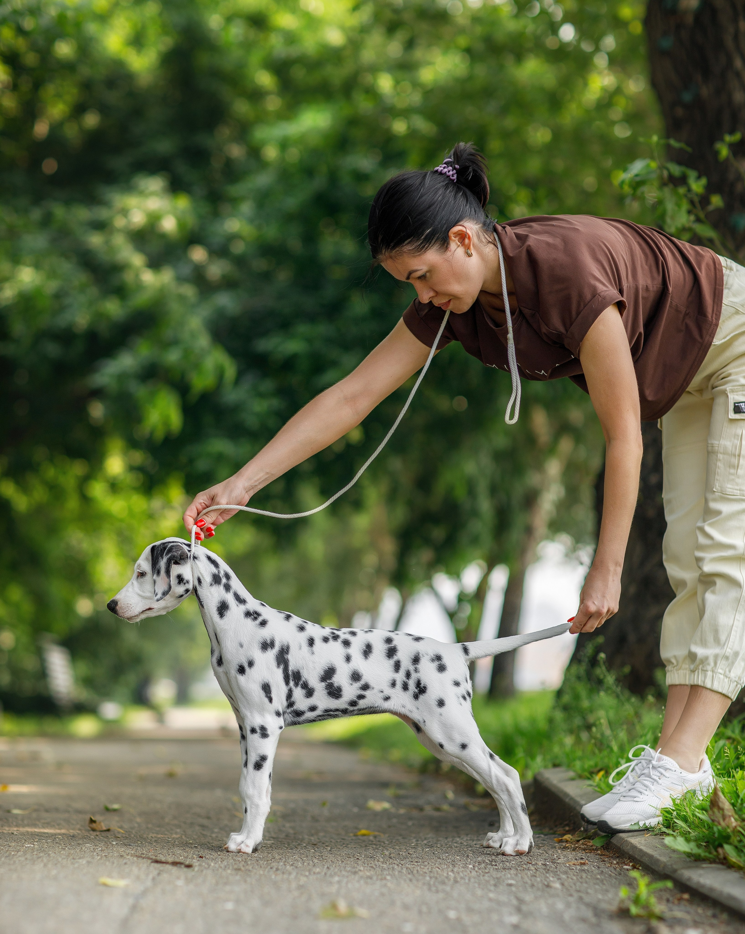 Фотосессия щенков. Фотограф для Вашей собаки