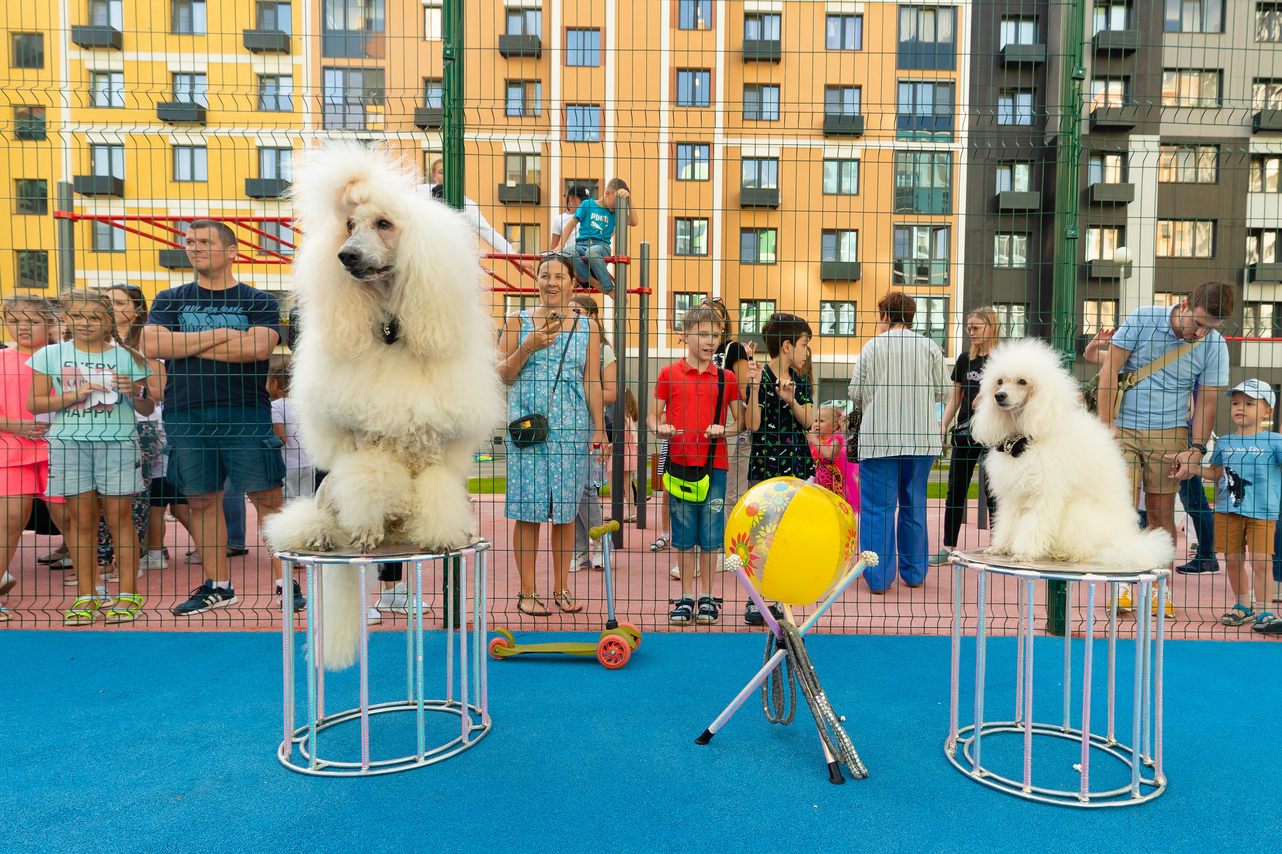 Праздник для жителей ЖК ЛУЧИ. Виктория Зудина — фотограф в Москве