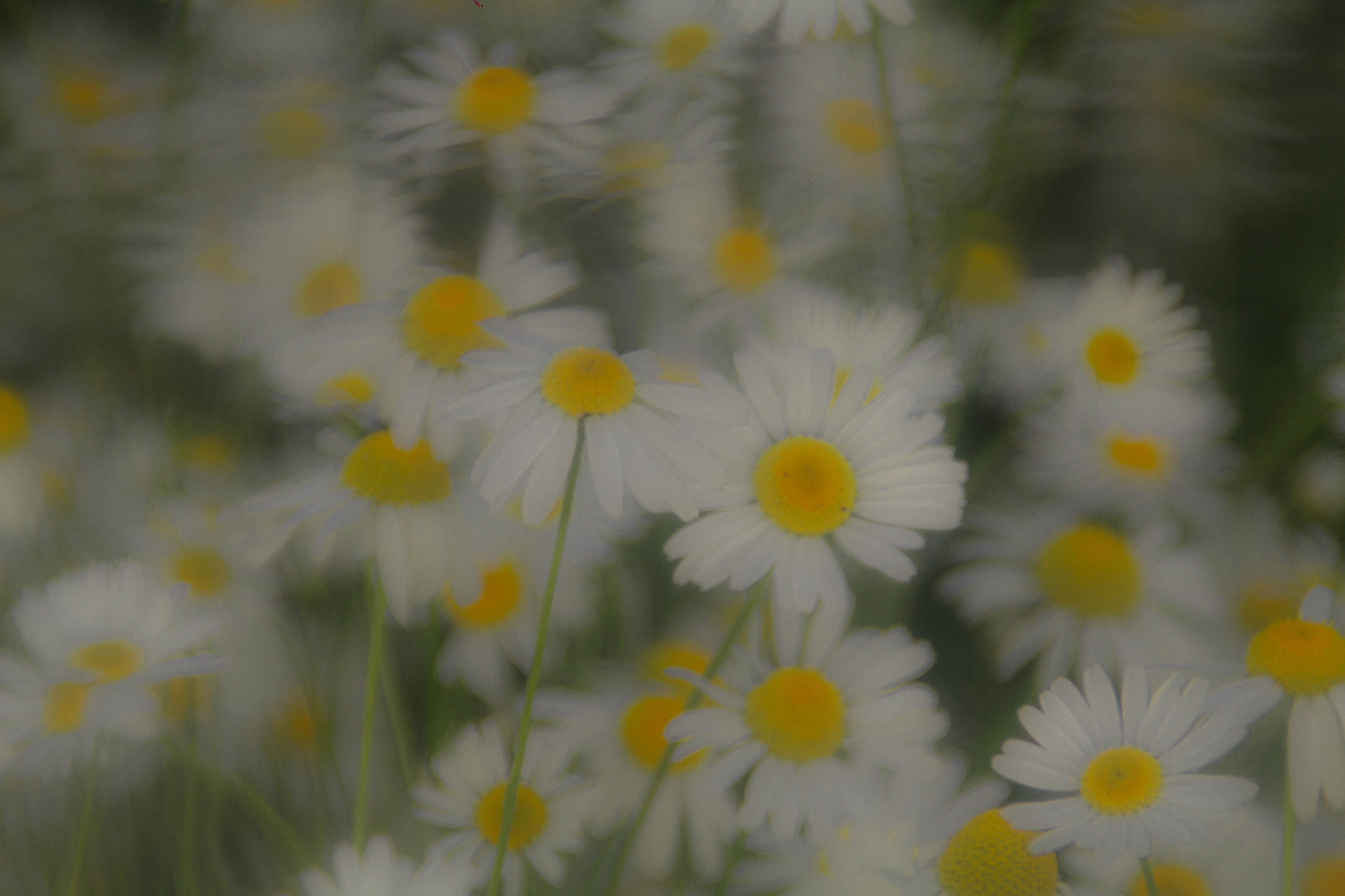 Ностальгия