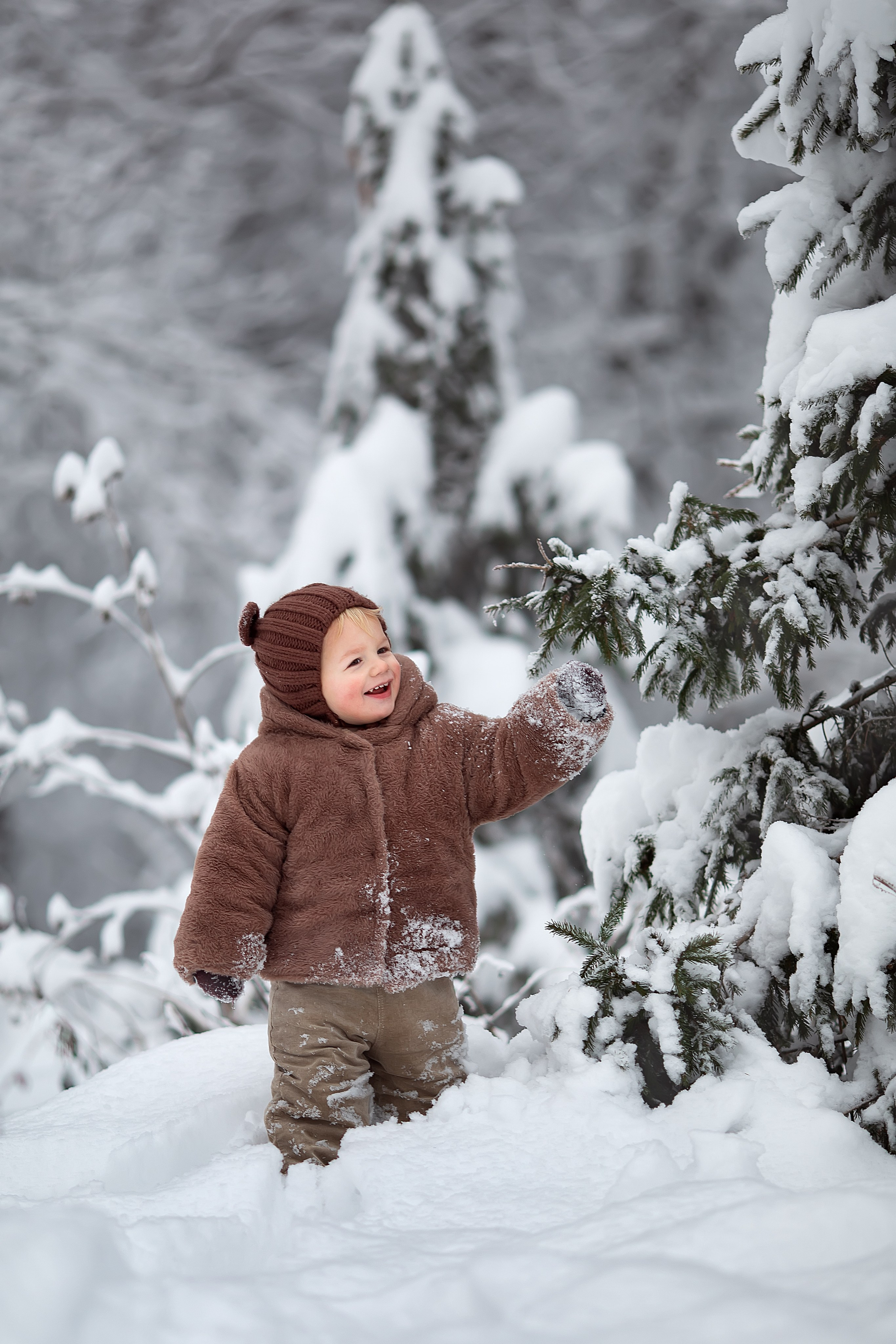 Волшебная зима. Главная