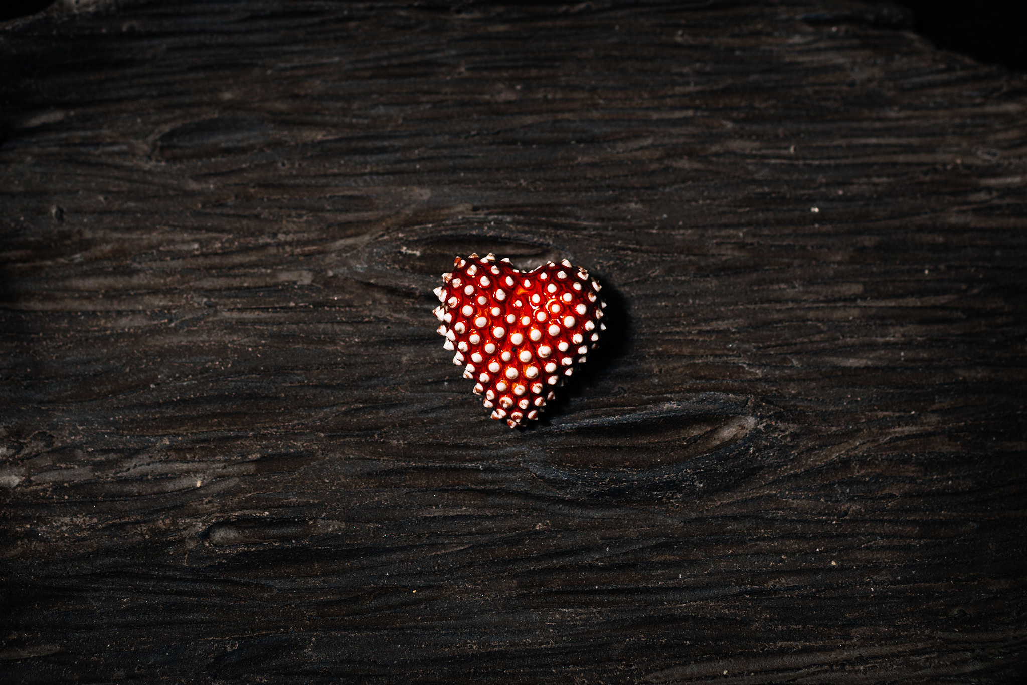 Надежда Лим. Керамика. Лес. Репортажный фотограф в Санкт-Петербурге Анастасия Клёпова