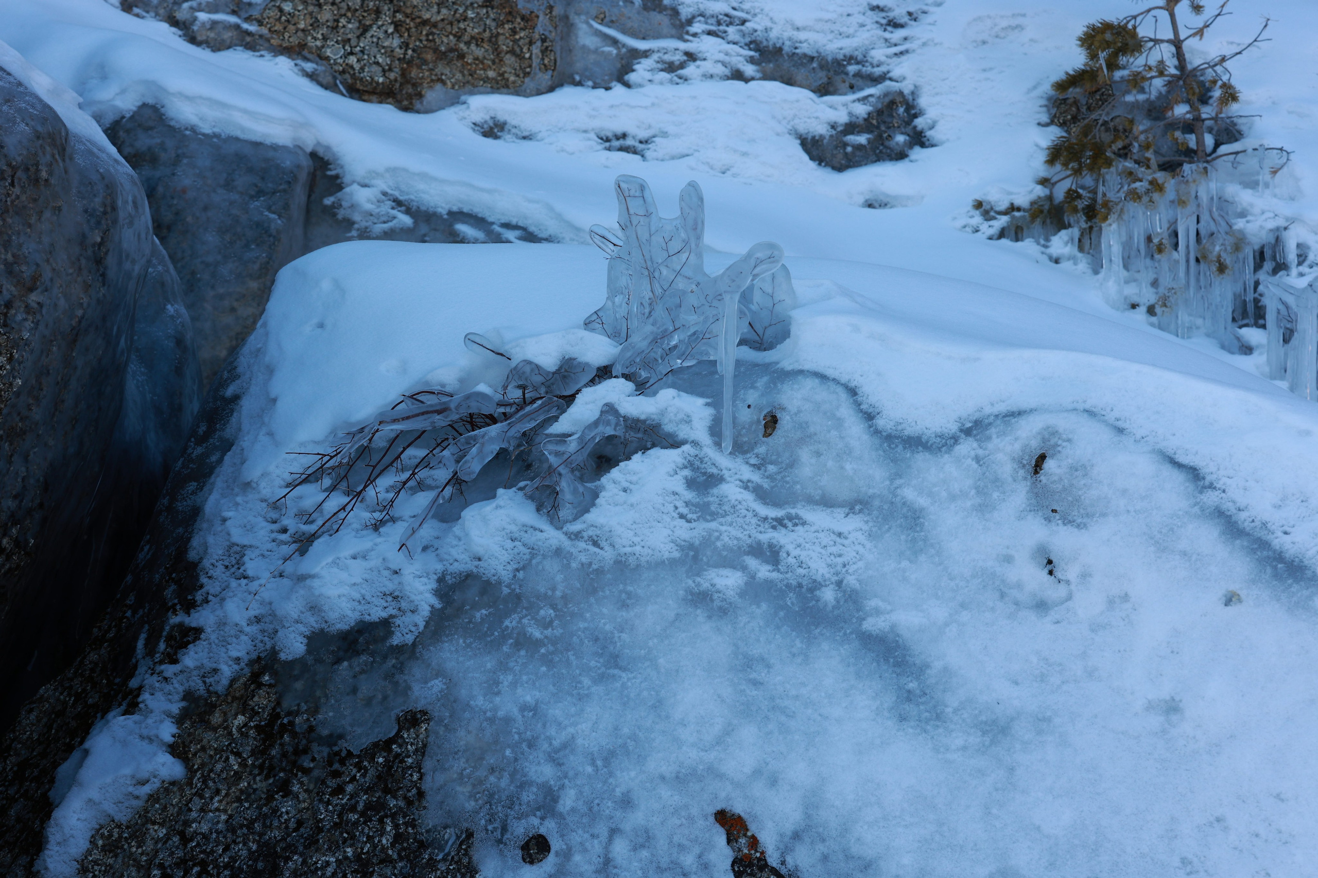 2022. Тащилин Сергей. Фотографии. Жизнь. Хобби