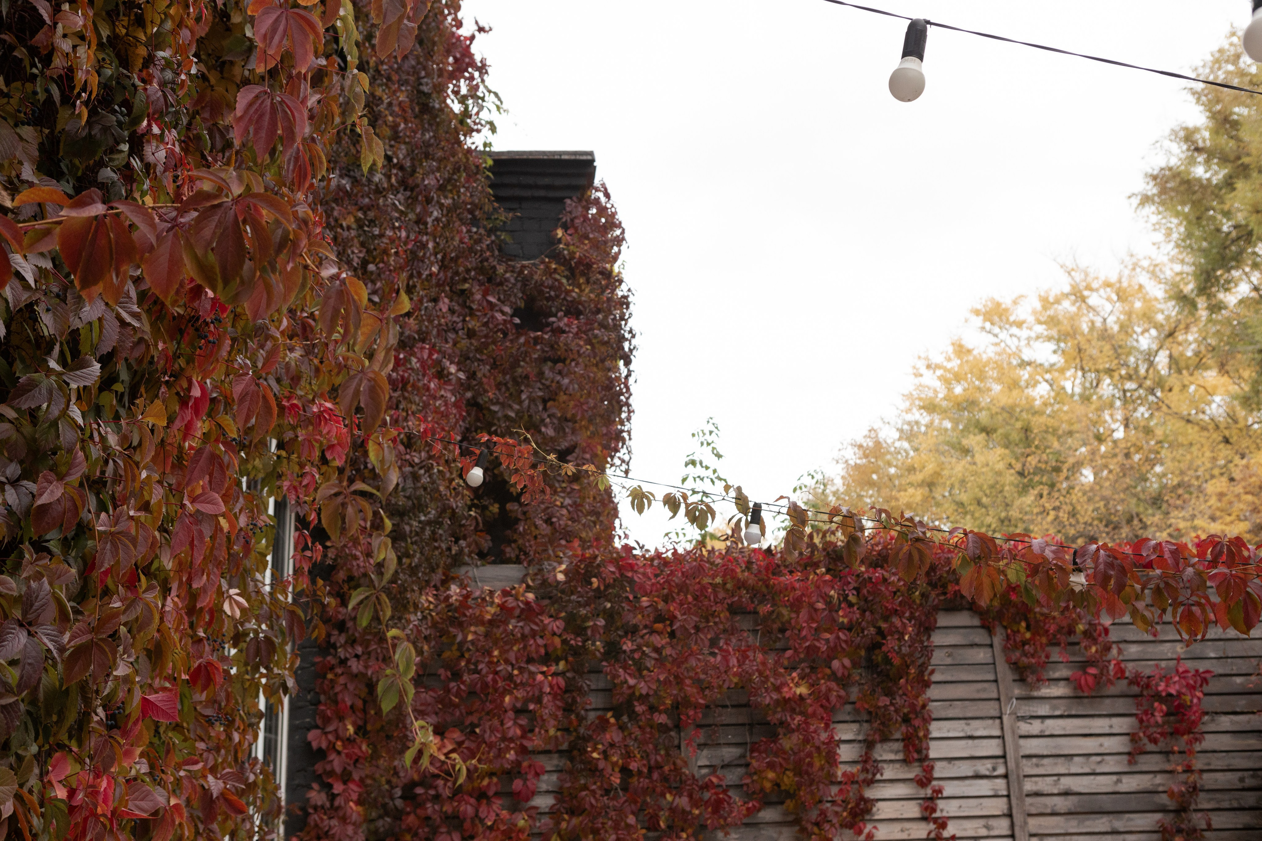 Влад и Ира. Свадебный фотограф в Воронеже Вероника Богай