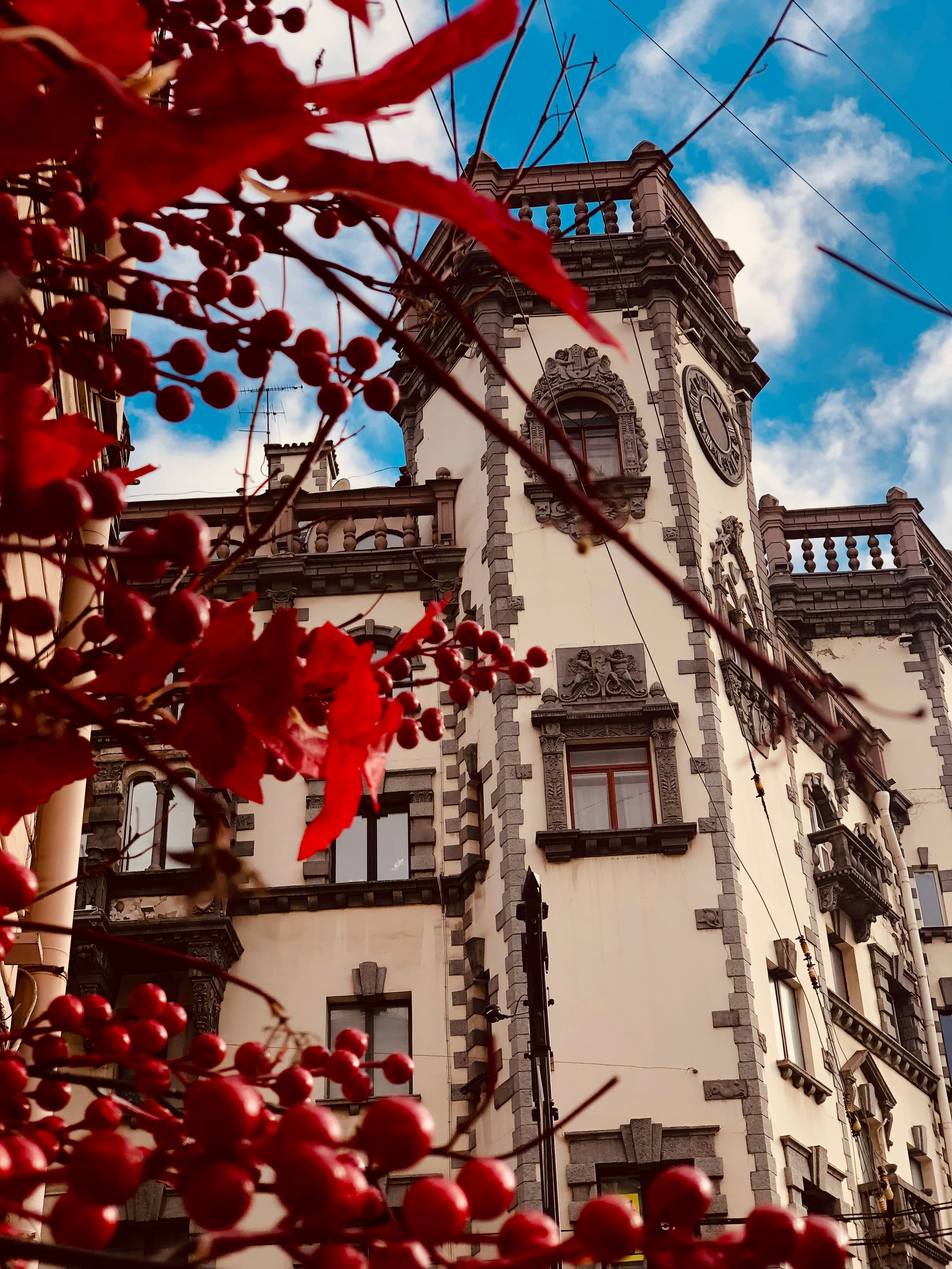 Октябрь. Семейный, Свадебный фотограф СПБ Питер— Романова Екатерина