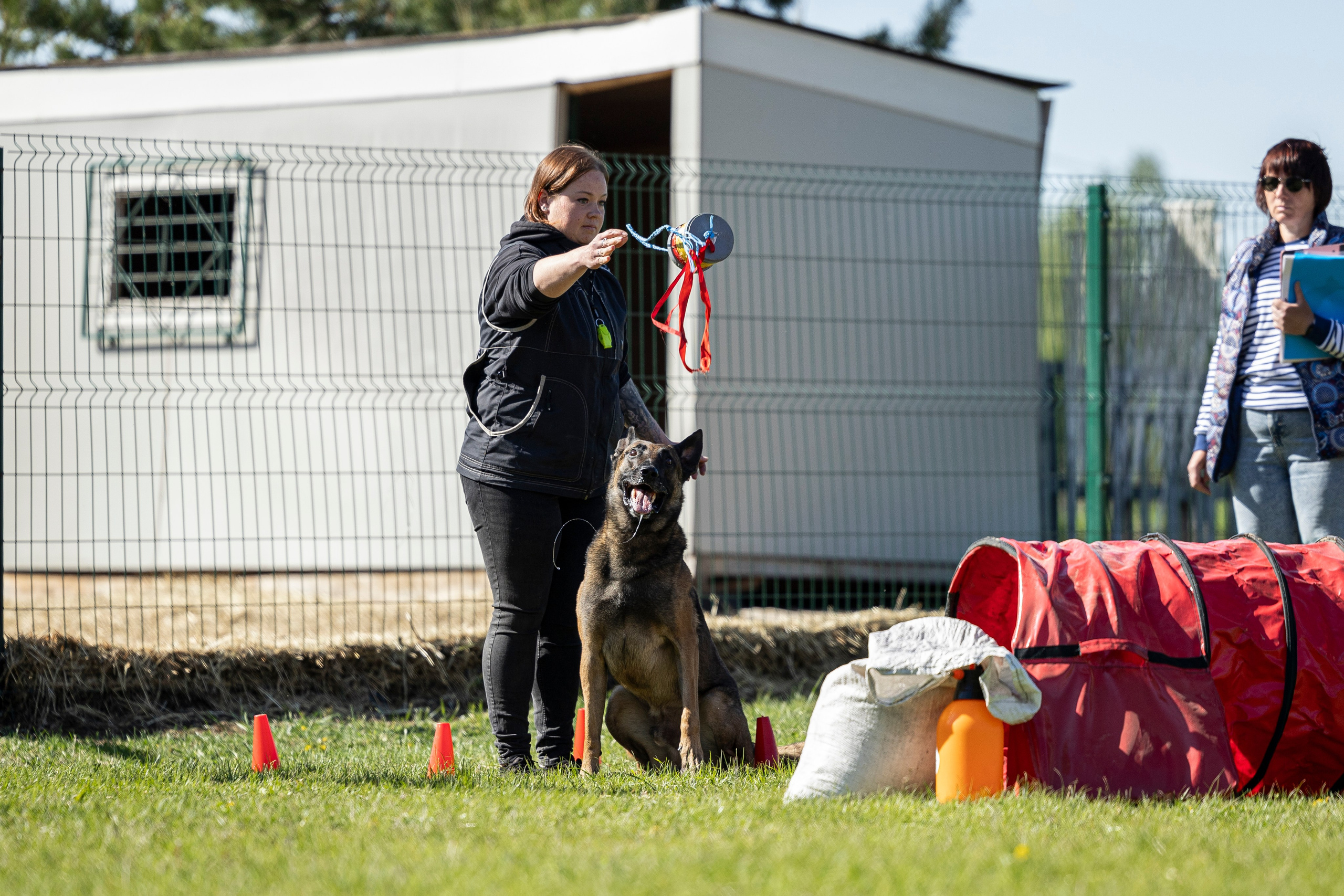 Испытания по мондьорингу в Нижнем Новгороде. Фотограф-анималист Анна Маринич