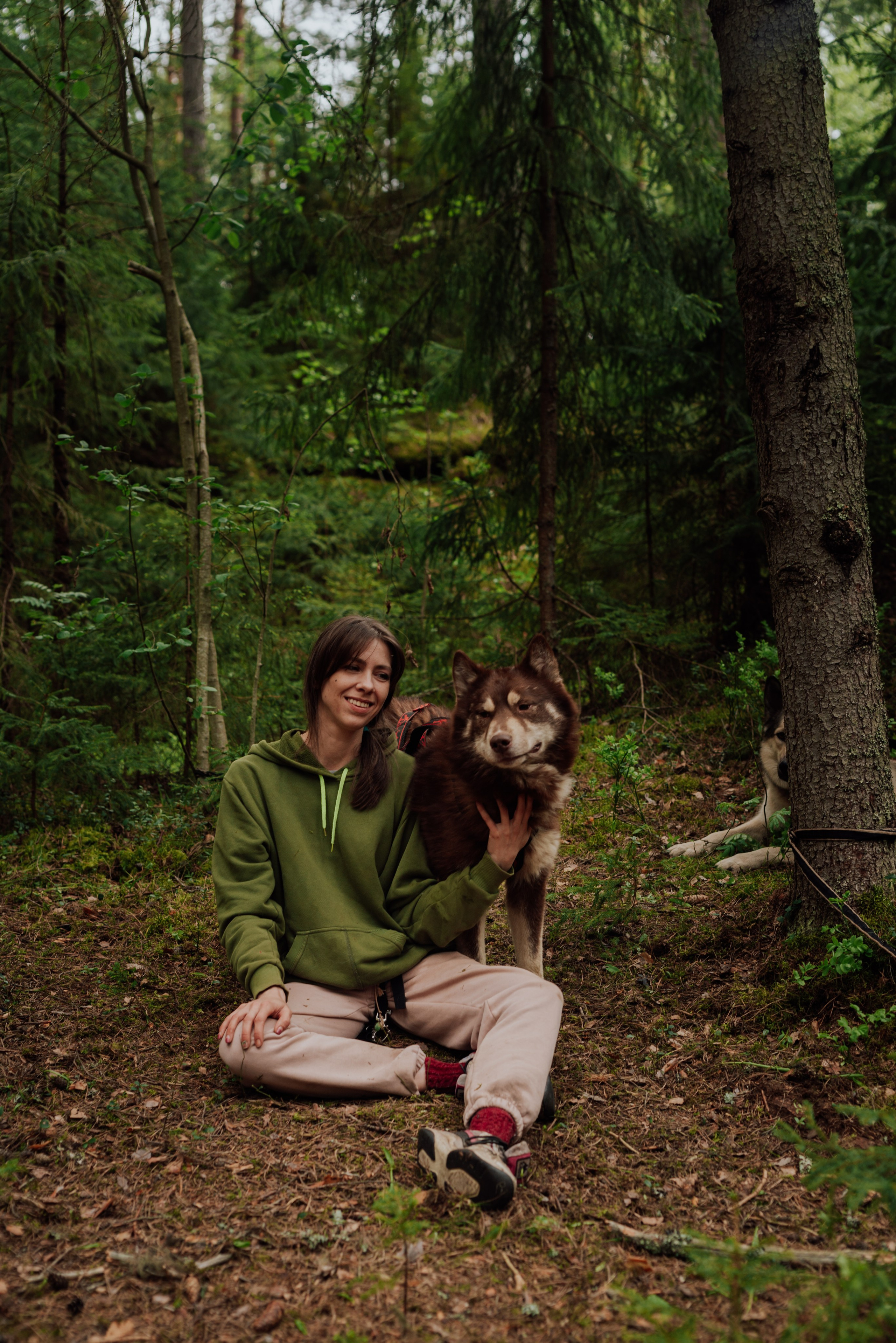 Догтрекинг. Фотограф в Санкт-Петербурге и Ленинградской области