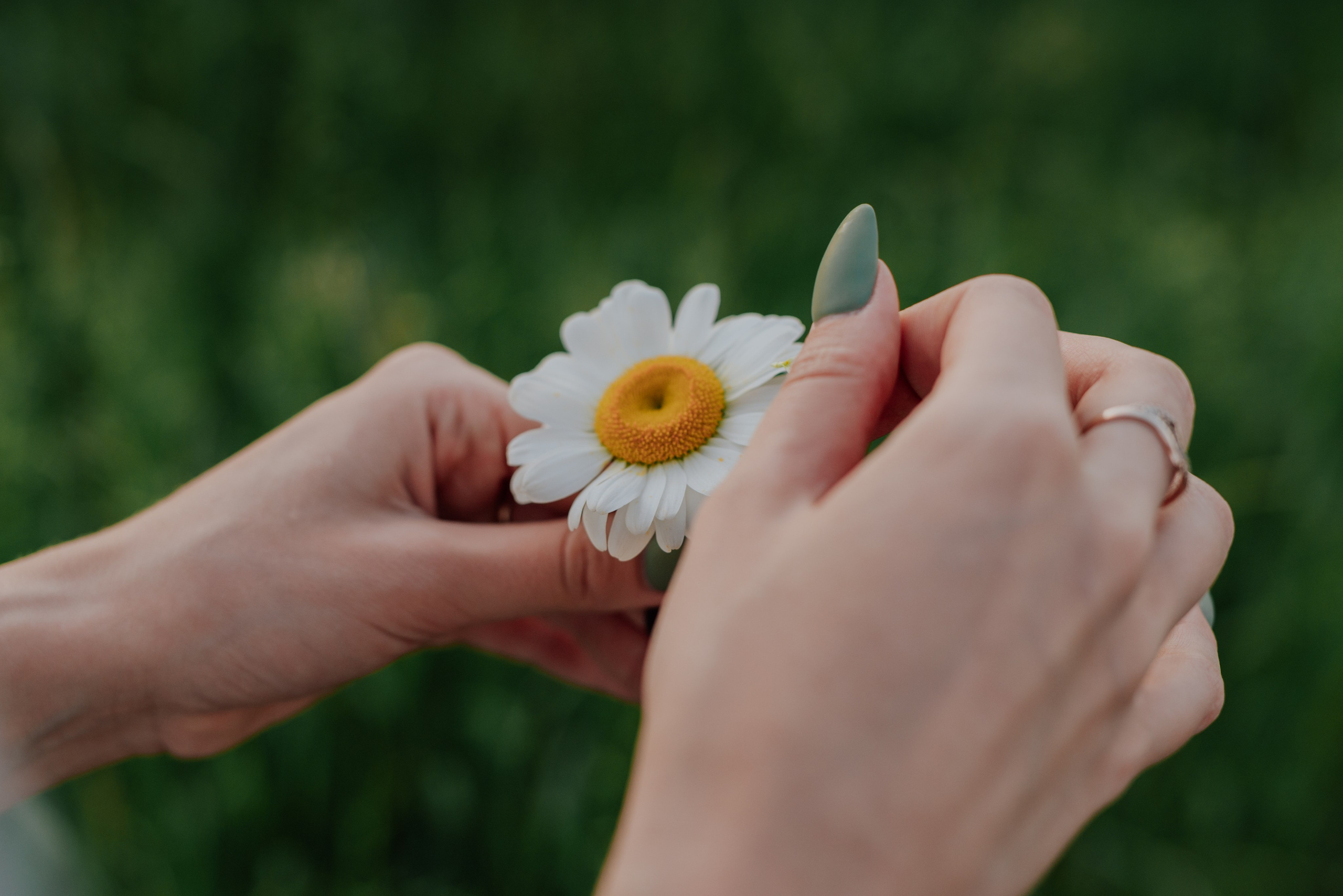 В поле. Фотограф в Санкт-Петербурге и Ленинградской области
