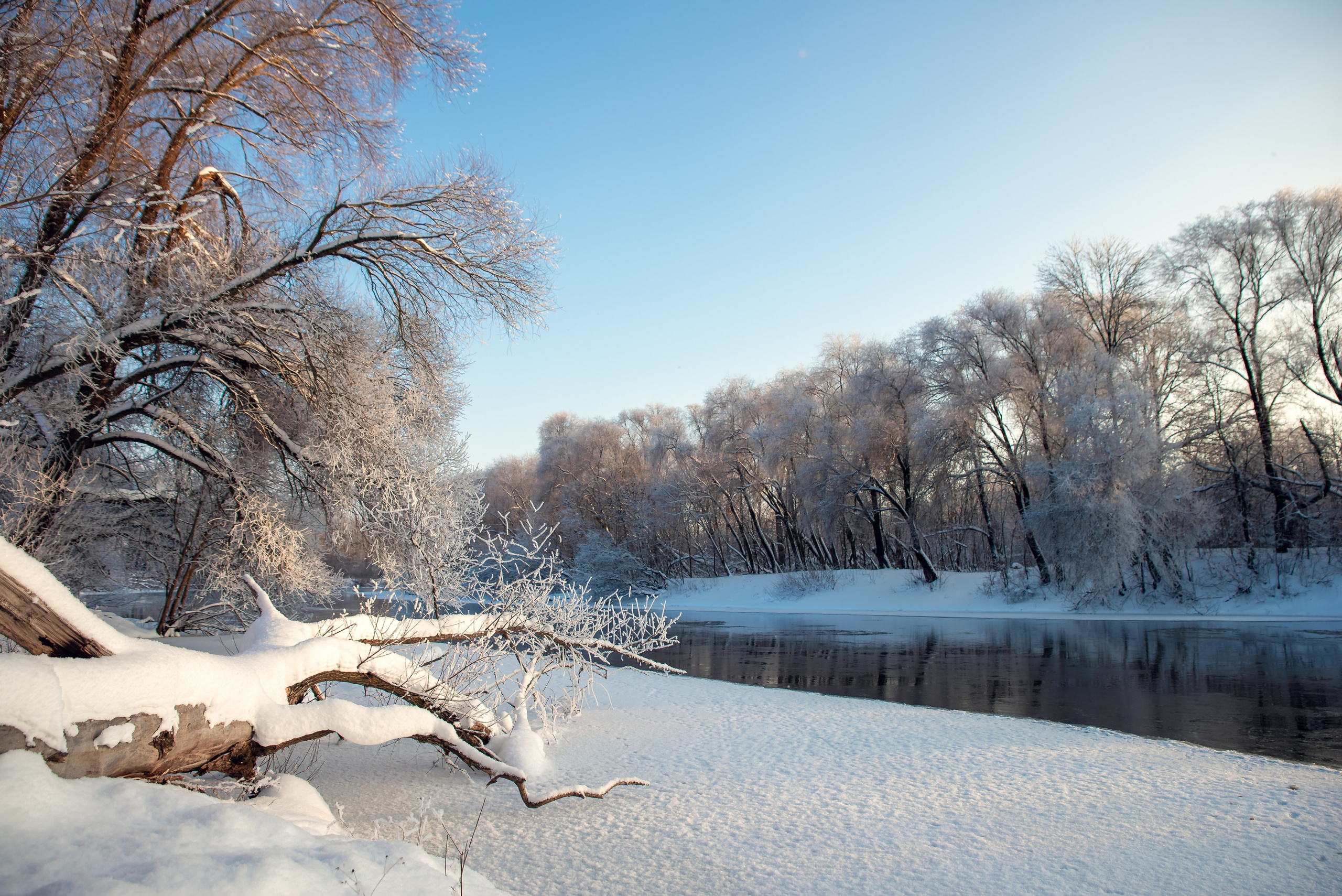 Зимушка зима. Фотограф Крещение Венчание Москва
