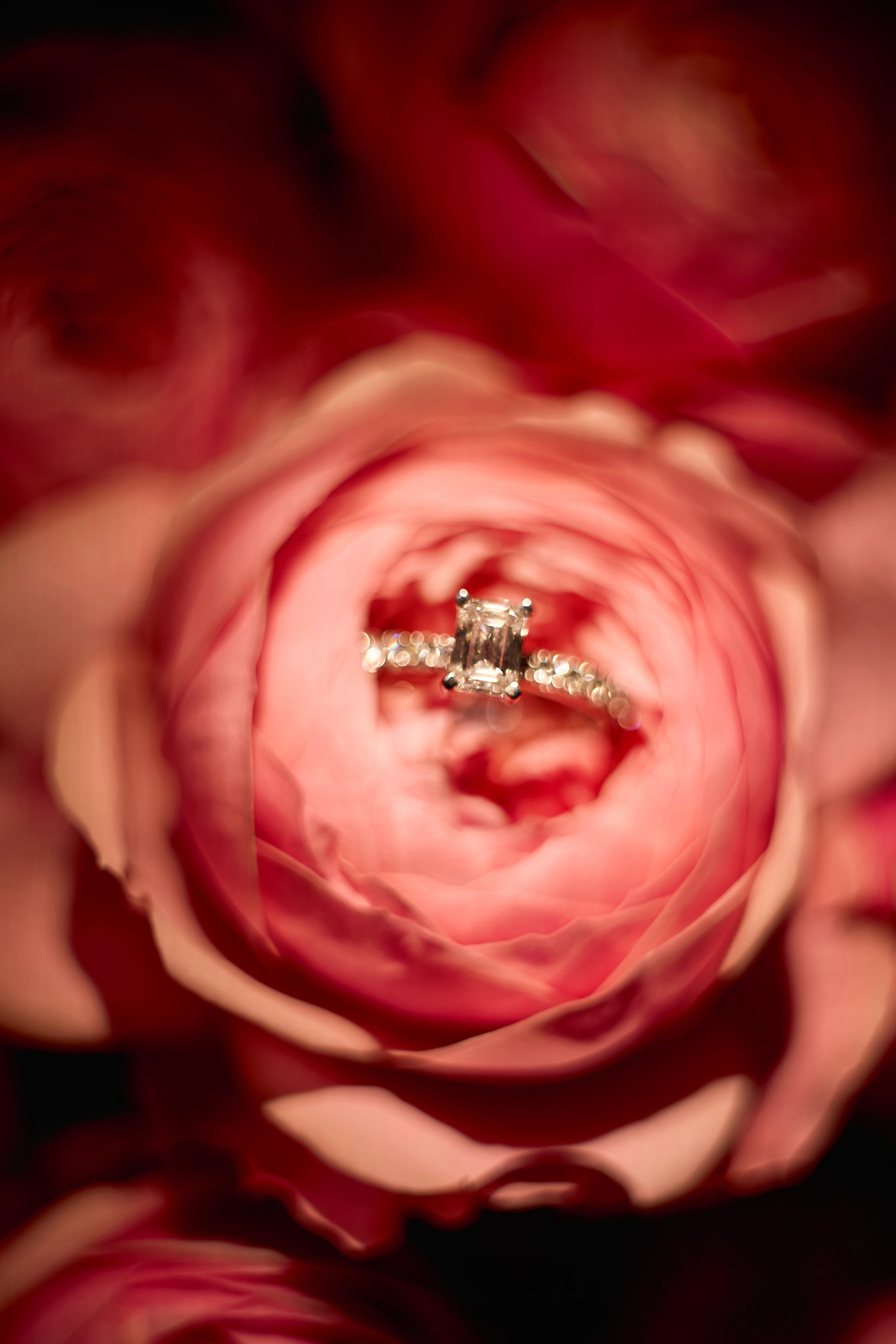 Красивое и чувственное сватовство Рафаэля & Алины в GOLDEN PALACE от ТВИНС СТУДИО. ТВИНС СТУДИО — лучшие свадебные фотографы и видеографы в Краснодаре