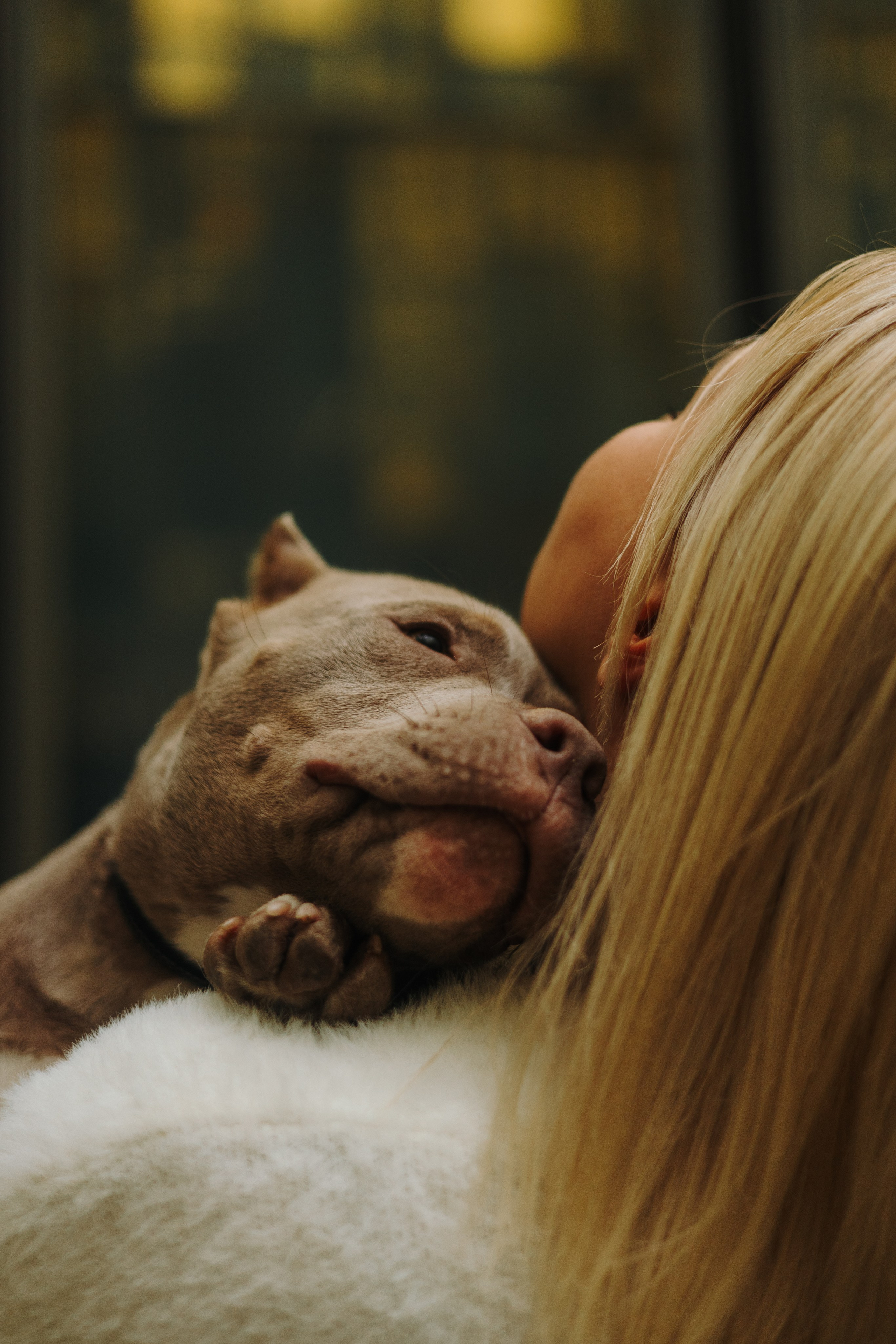 Екатерина, Юрий и Аксель. Фотограф животных Евгения Верцинская