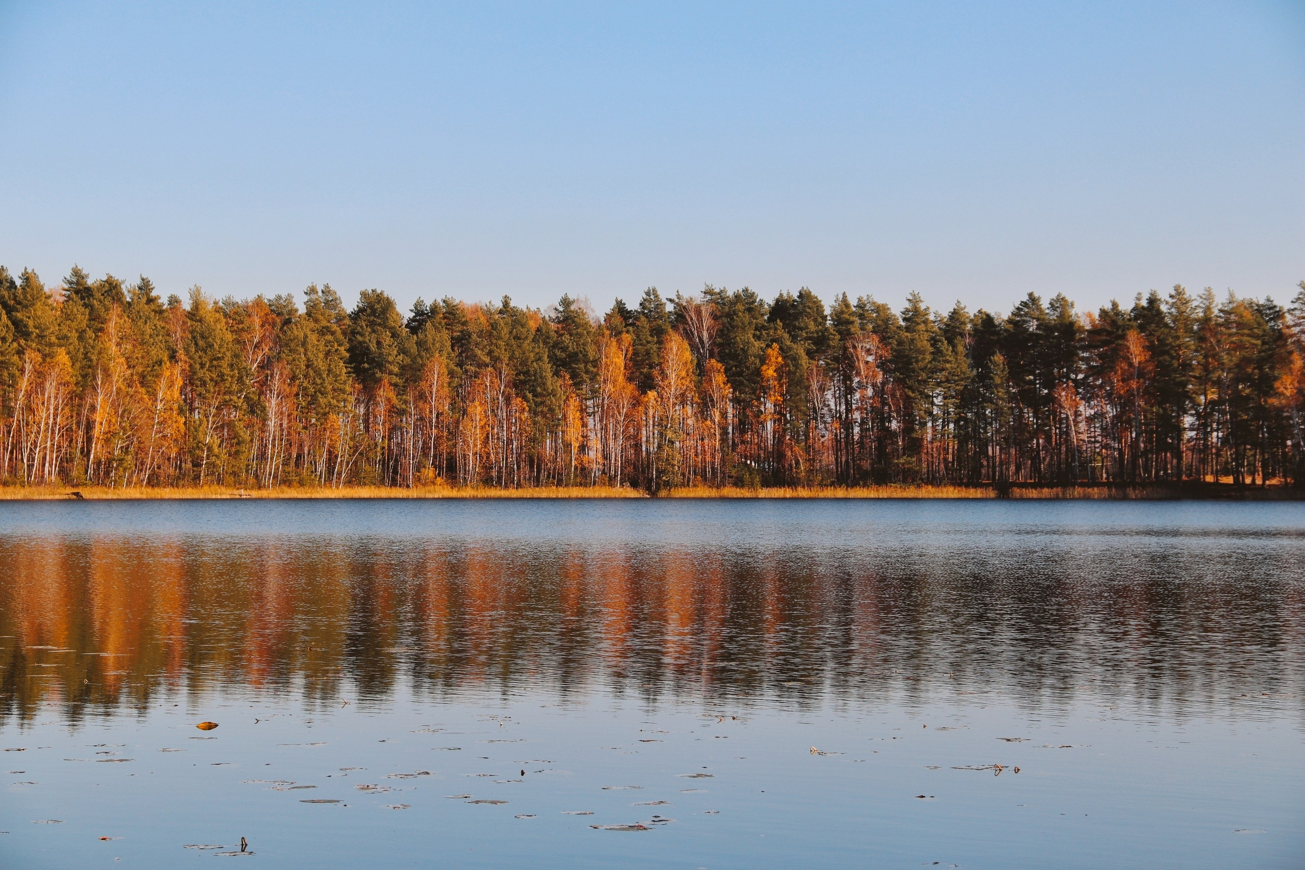 По тропе Паустовского. С любовью, фотохудожник
