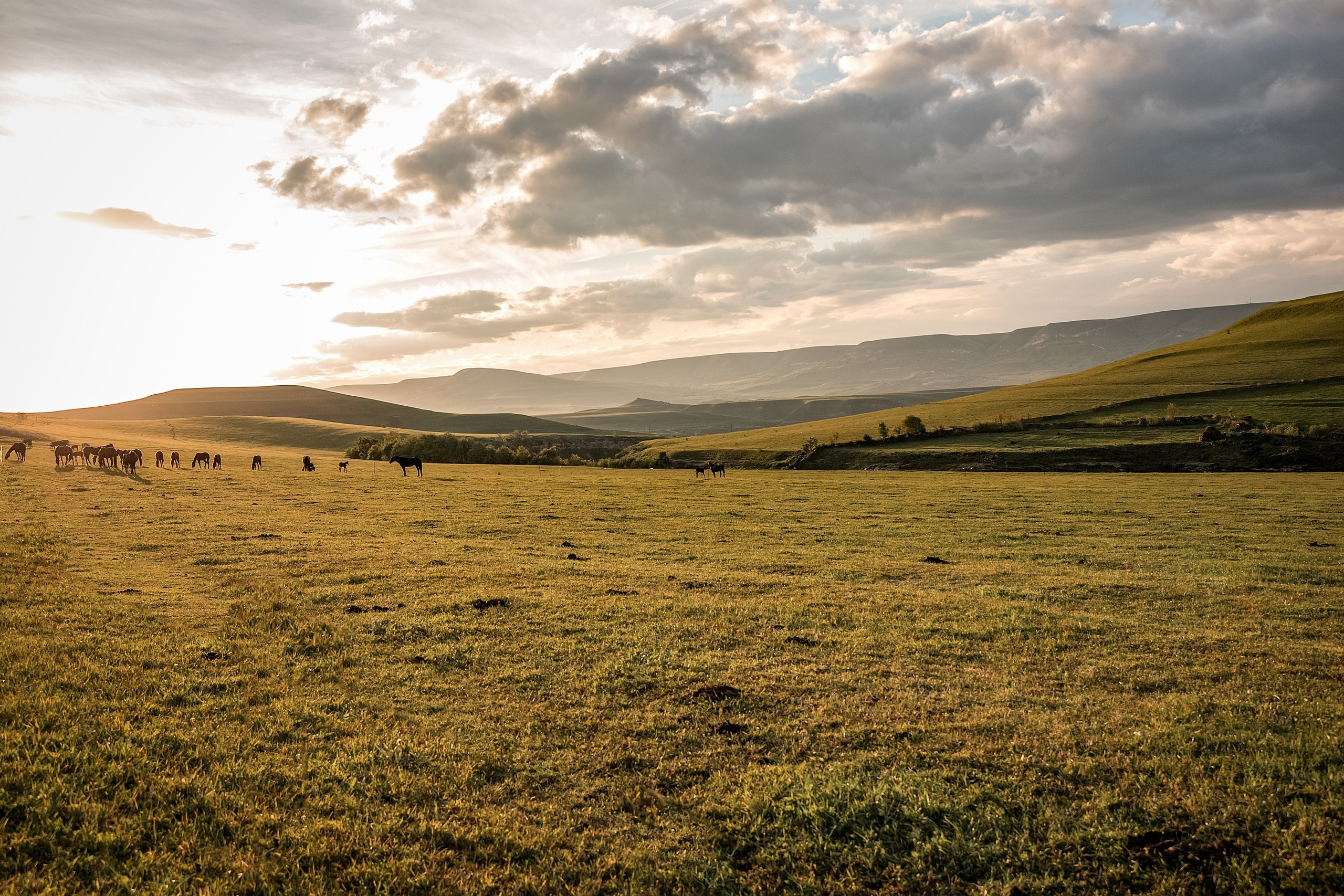 Майское закатное. BrisArts