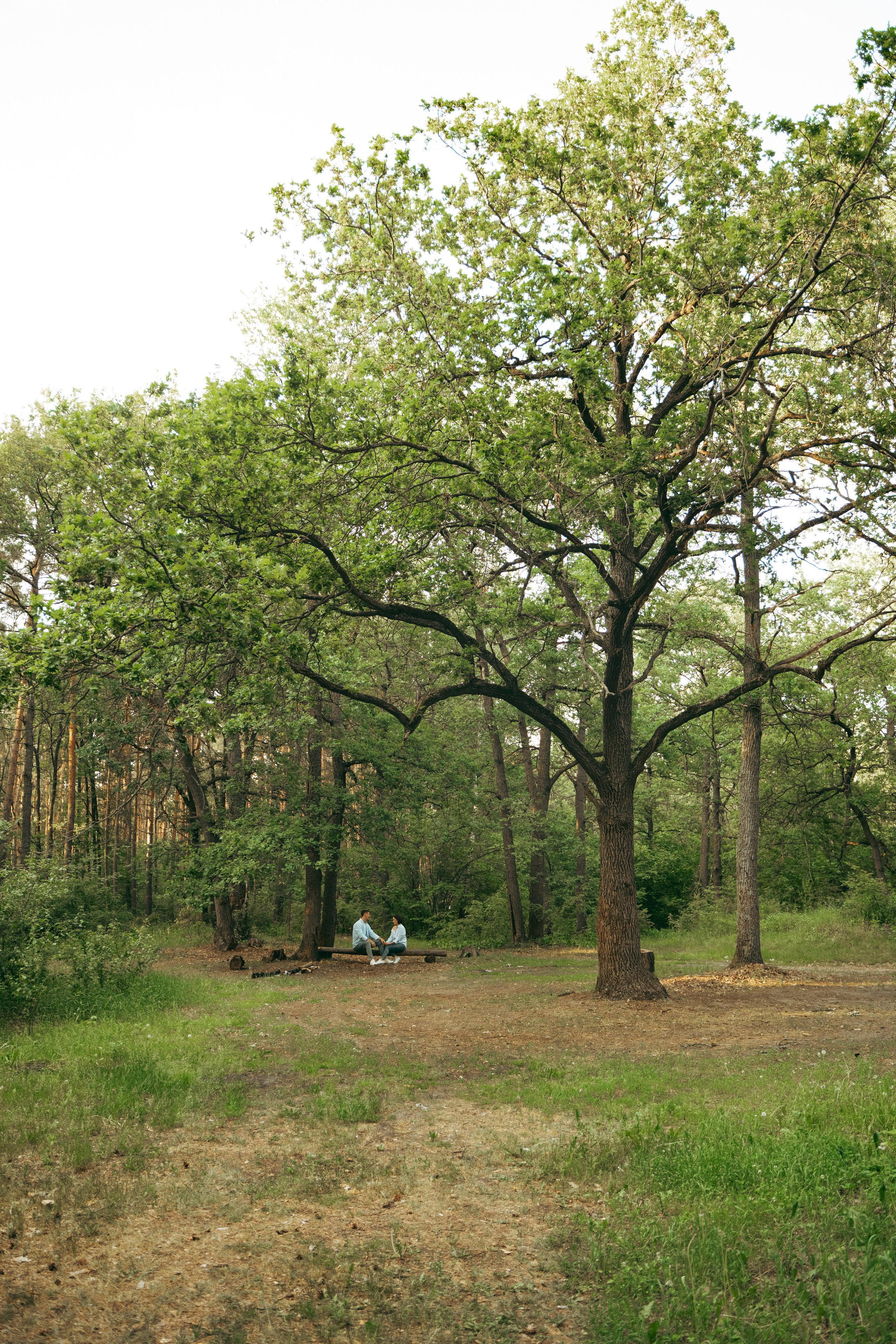 Лес. Фотограф Мария Зайчик