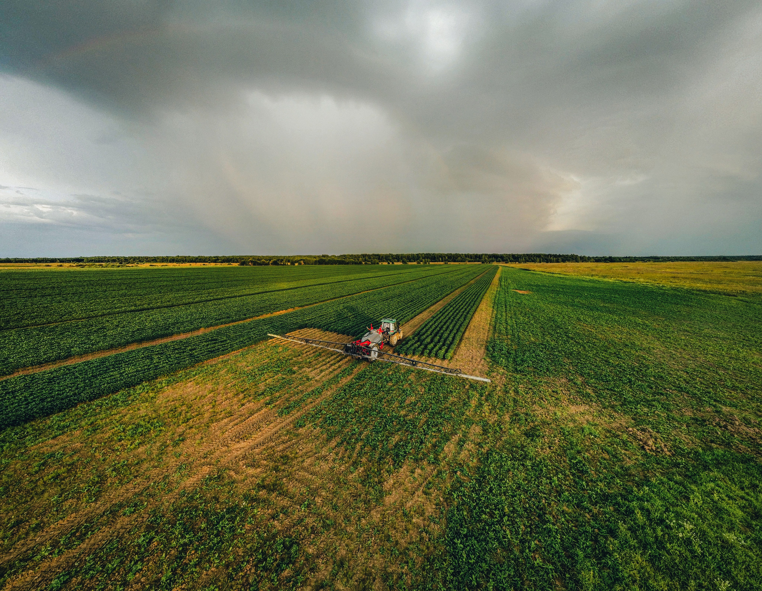 Удобрение картофеля при помощи трактора