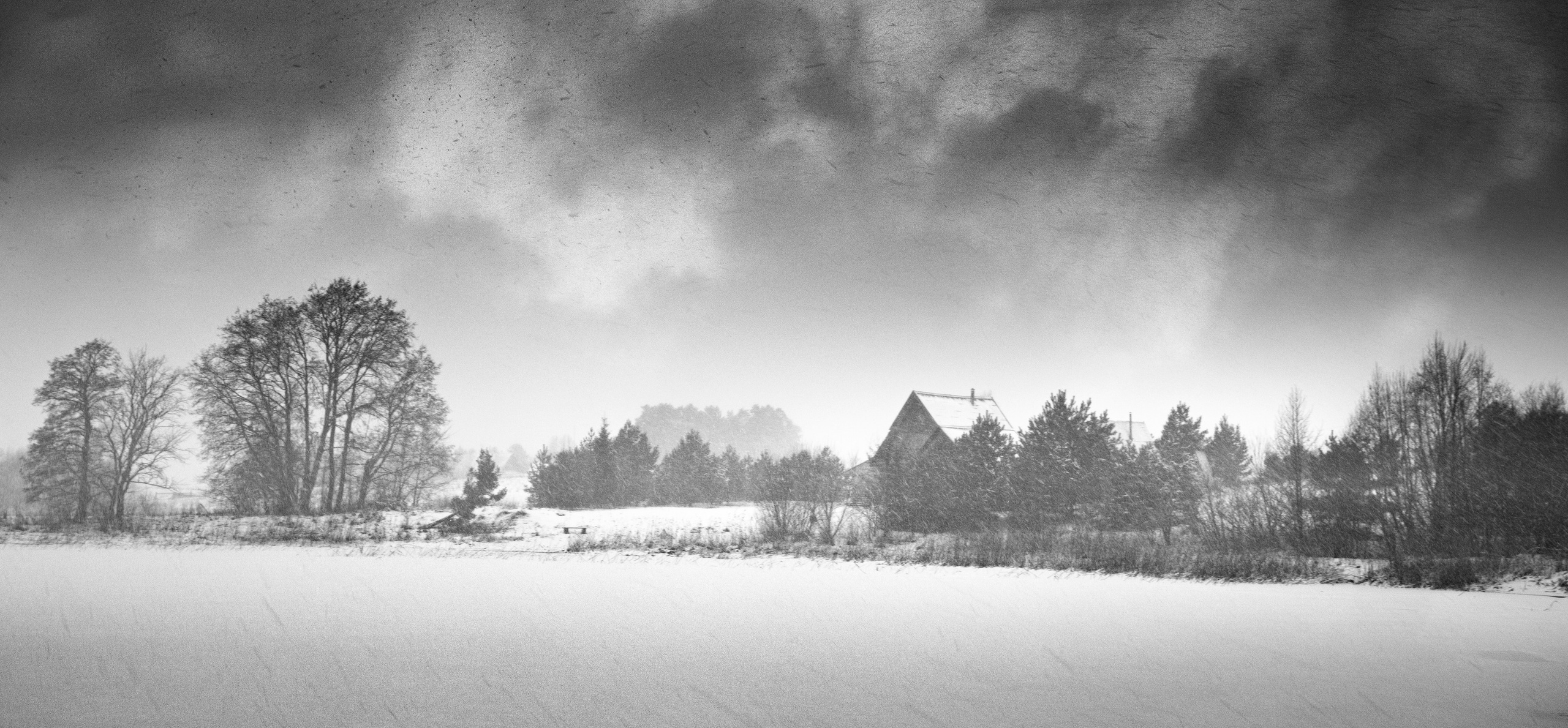 Альбом. Фотограф Арсен Сулейманов