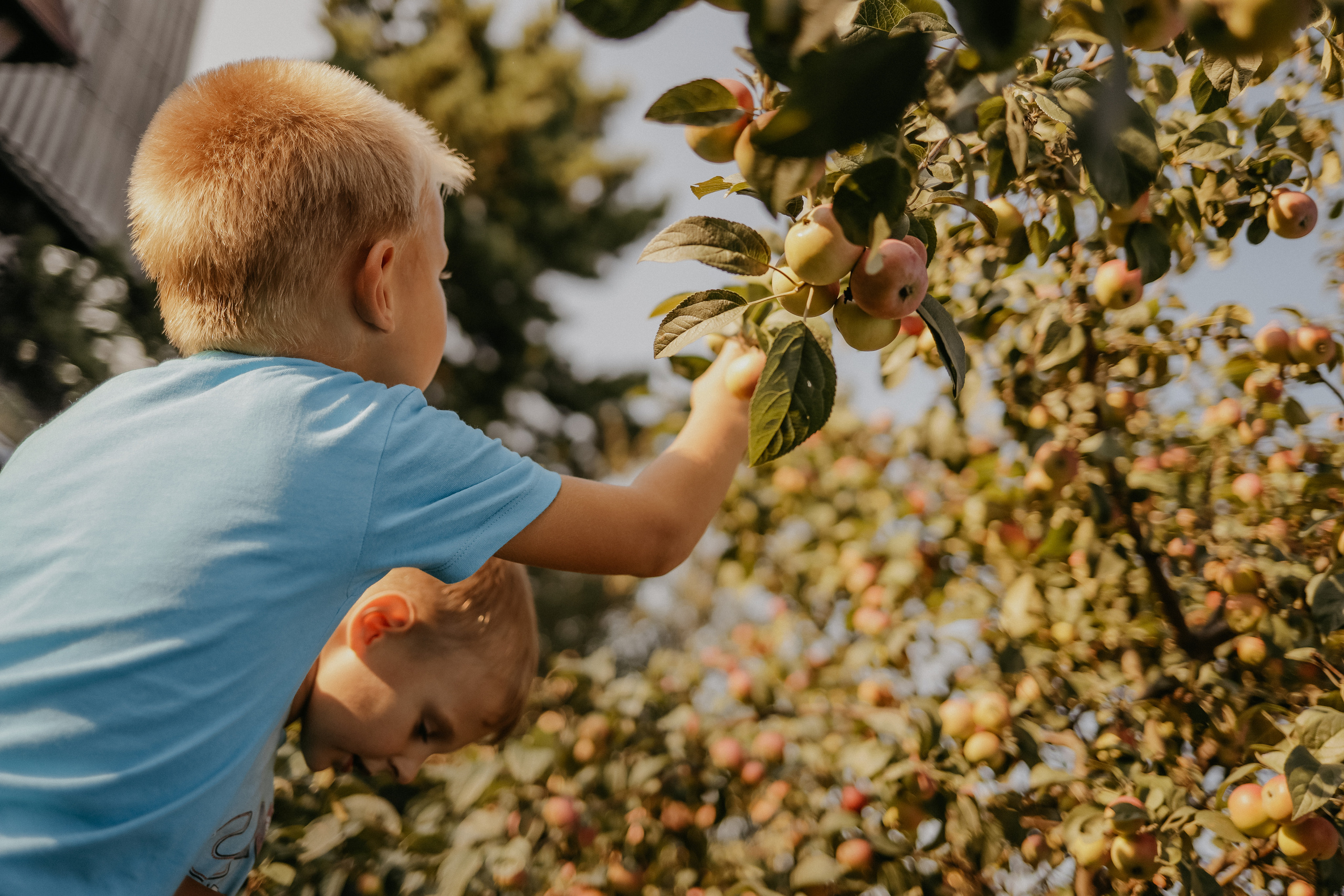 Семейная съемка на улице