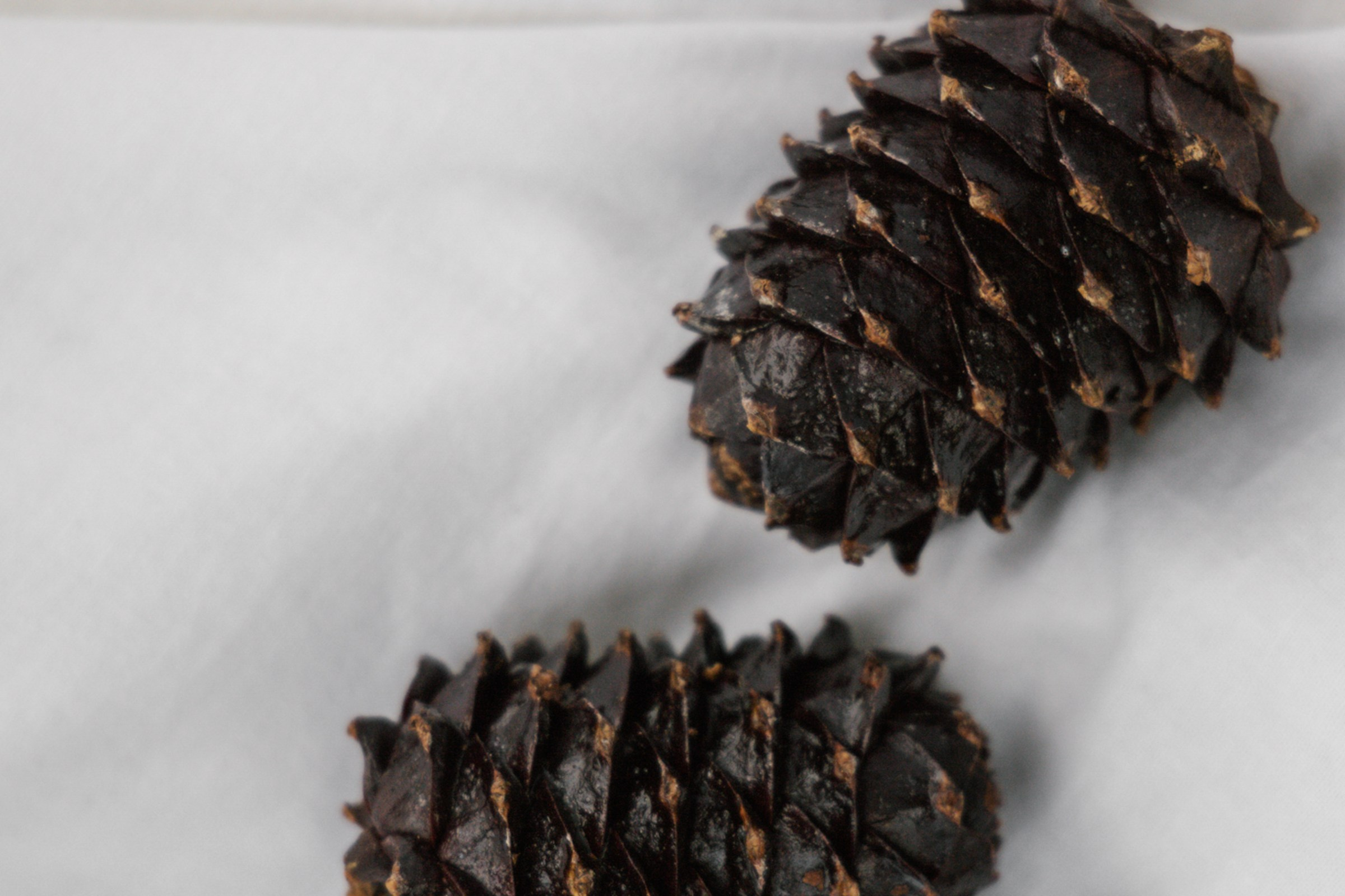 Травяной чилл. Свадебный фотограф Марьям Сайфулина г. Красноярск